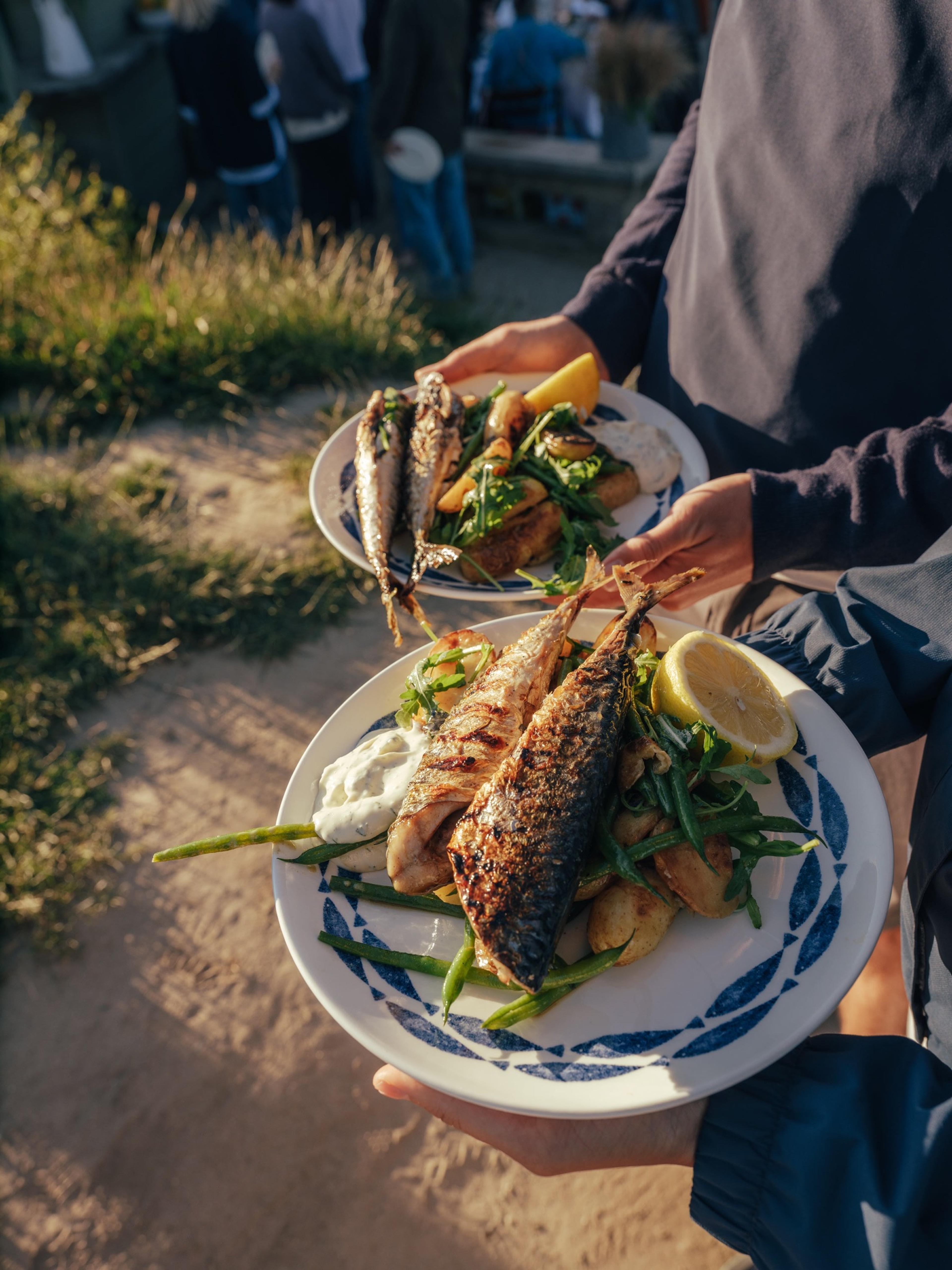 Two plates of grilled fish with lemon and salad, held out on a grassy clifftop.