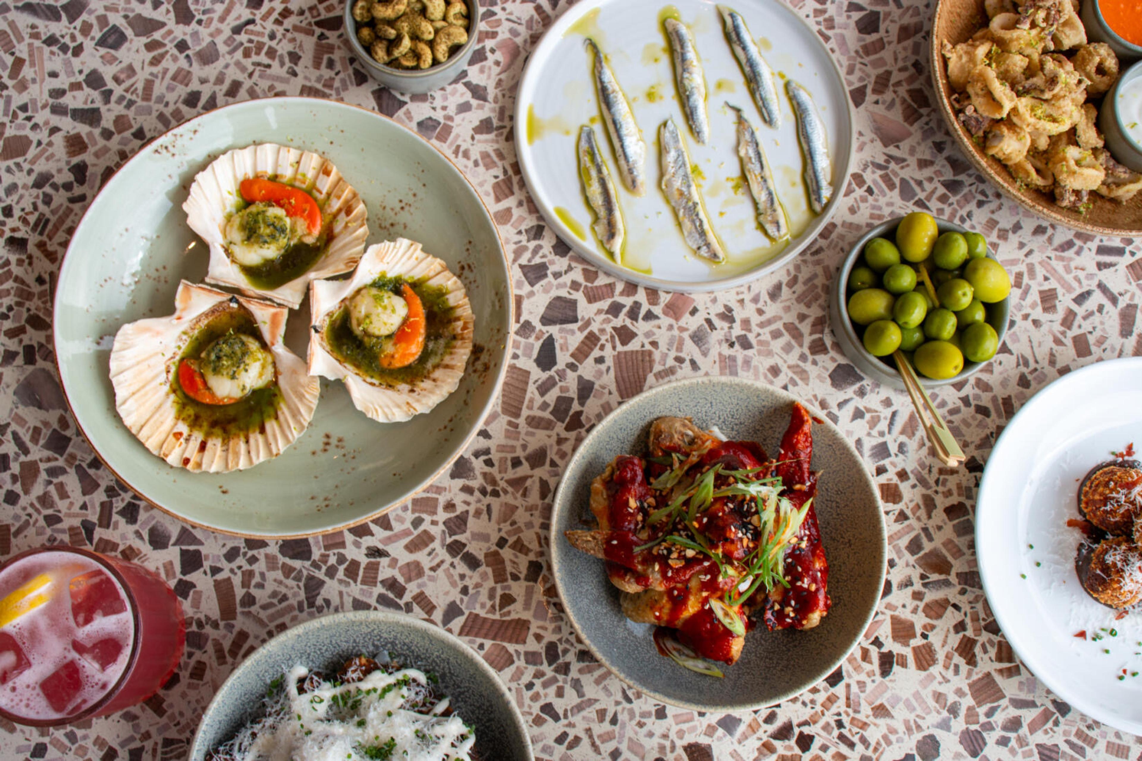 An overhead spread of small plates: grilled scallops in their shells, anchovies, olives, calamari and chicken wings.