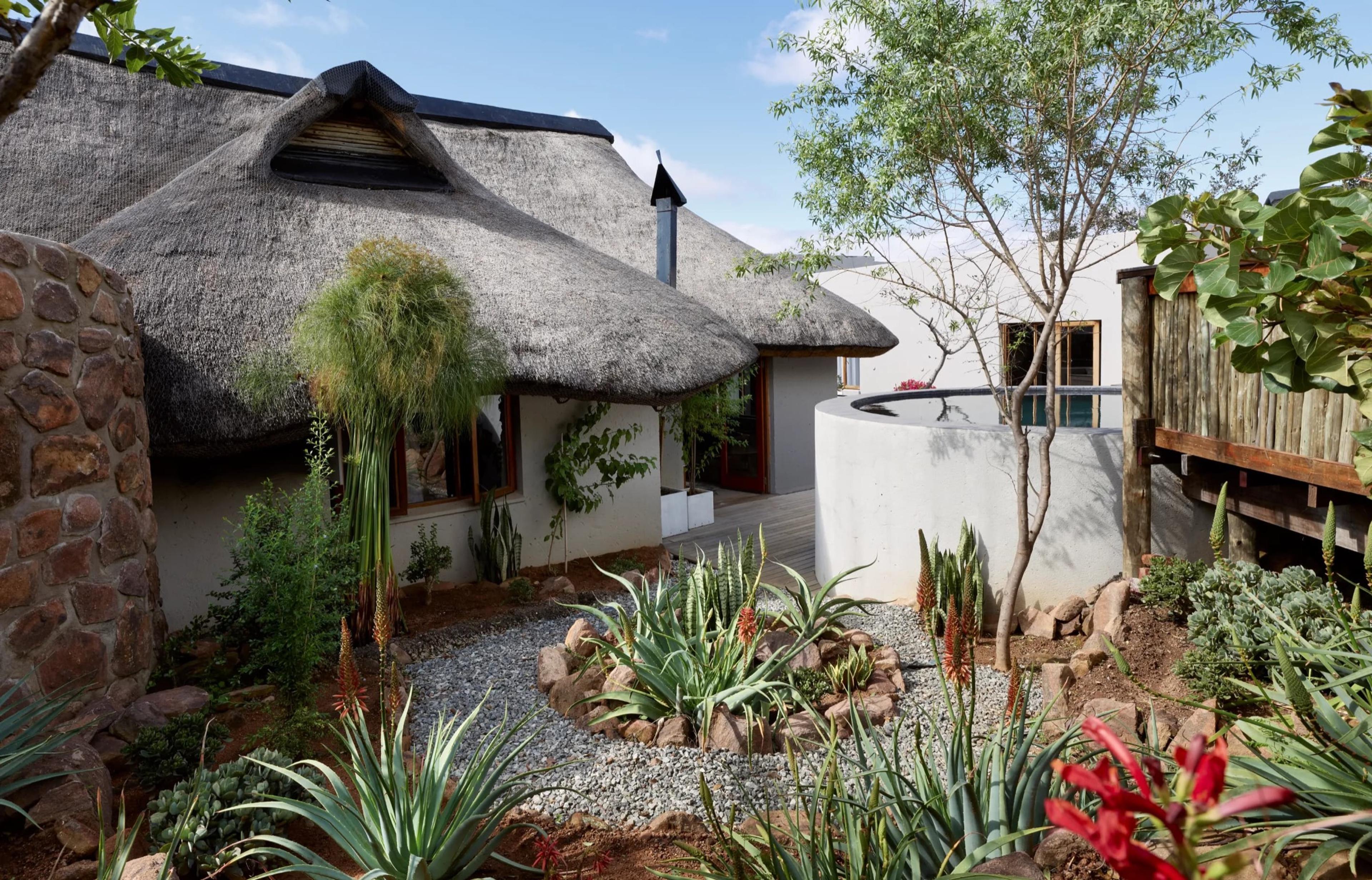 A courtyard of gravel and aloes between two thatched roofs, with a tree and a round white wall beside it, and no people.