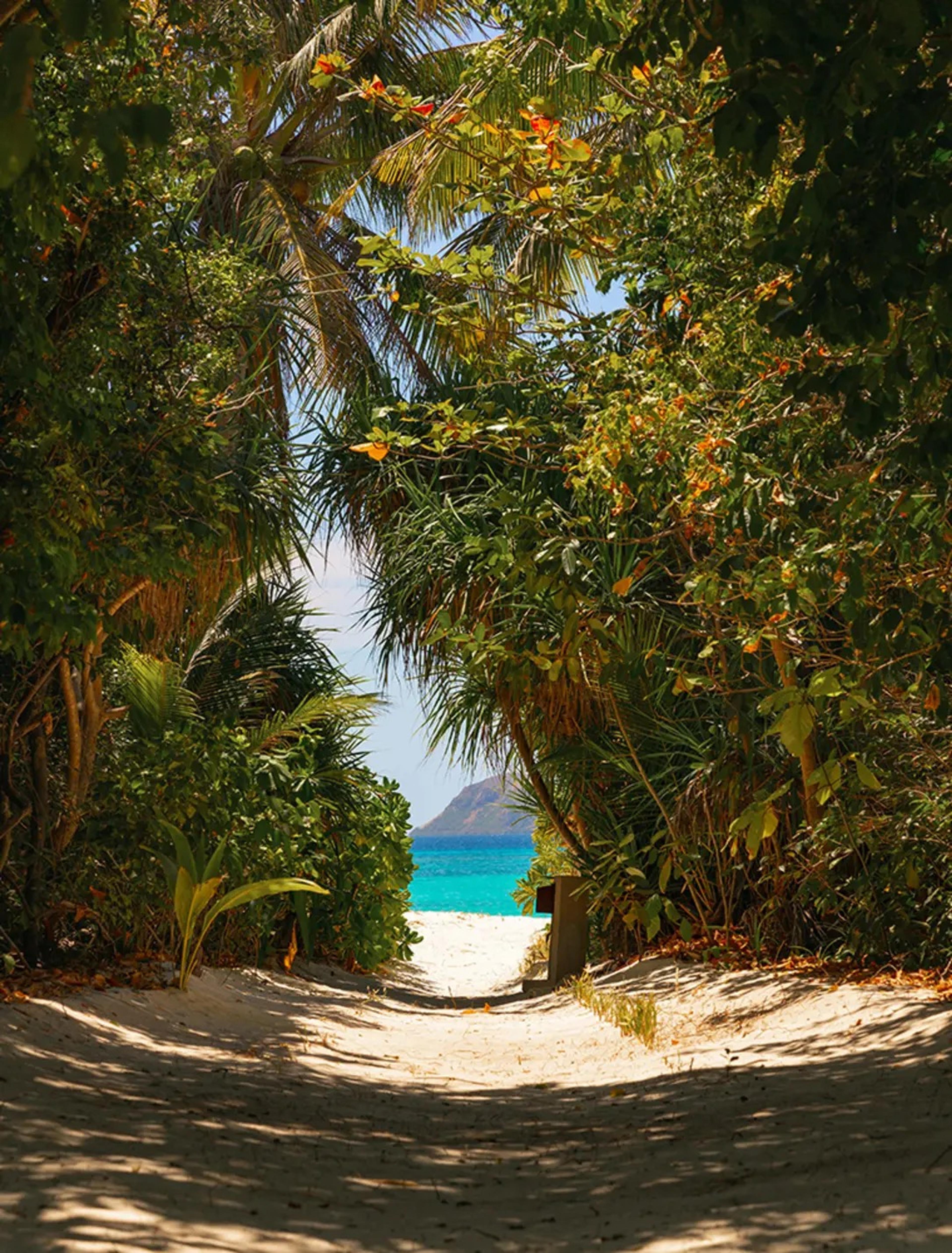 A sandy path through dense green foliage opens onto a turquoise sea with a small island beyond.