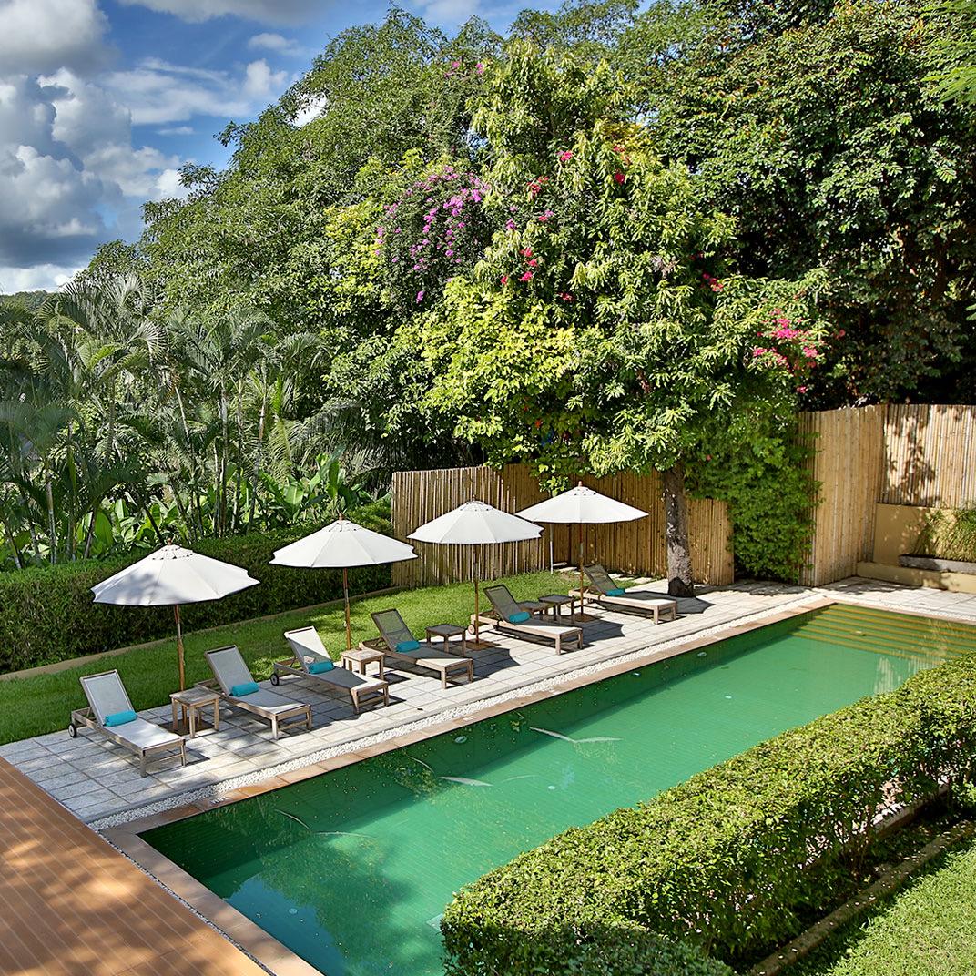 A pool lined with umbrellas among trees