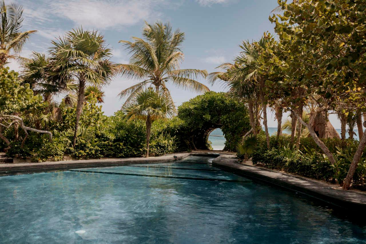 A long swimming pool bordered by palm trees, leading to a stone archway framed in greenery.
