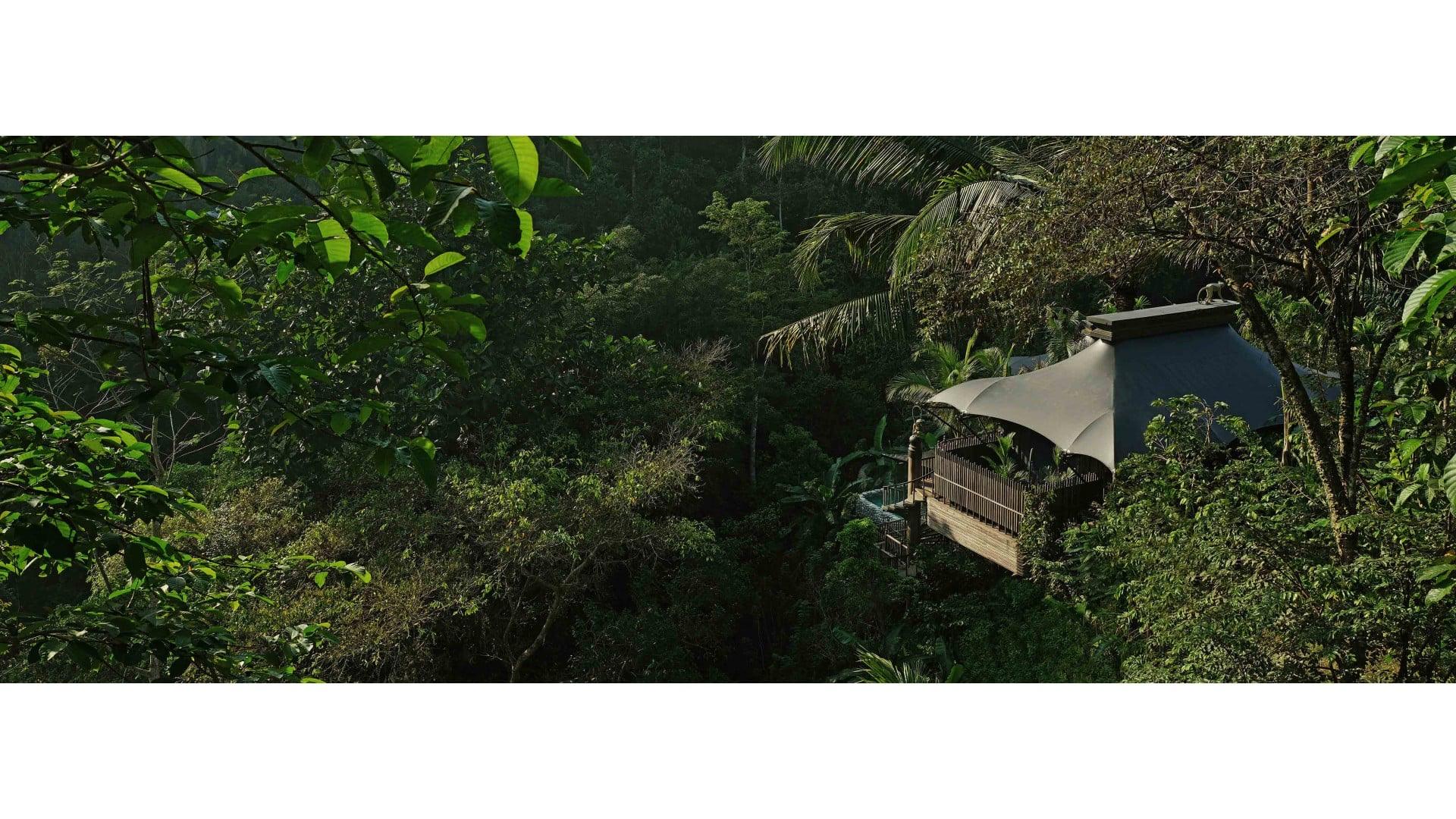 A single thatched-roof villa with a wooden balcony, seen from above and surrounded by dense green jungle canopy.