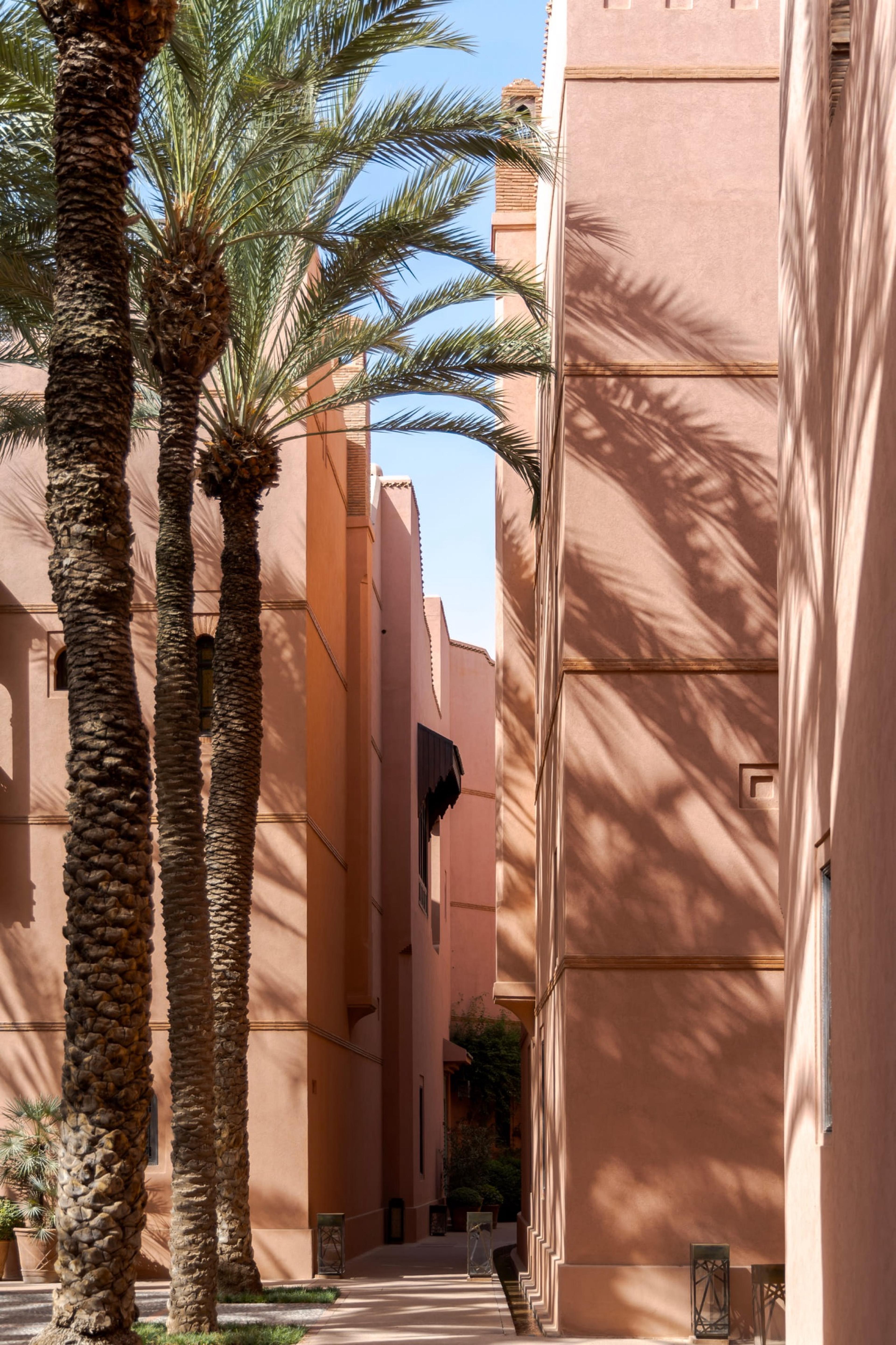 Palm trees arching over a paved passageway between ochre-walled buildings under a blue sky.