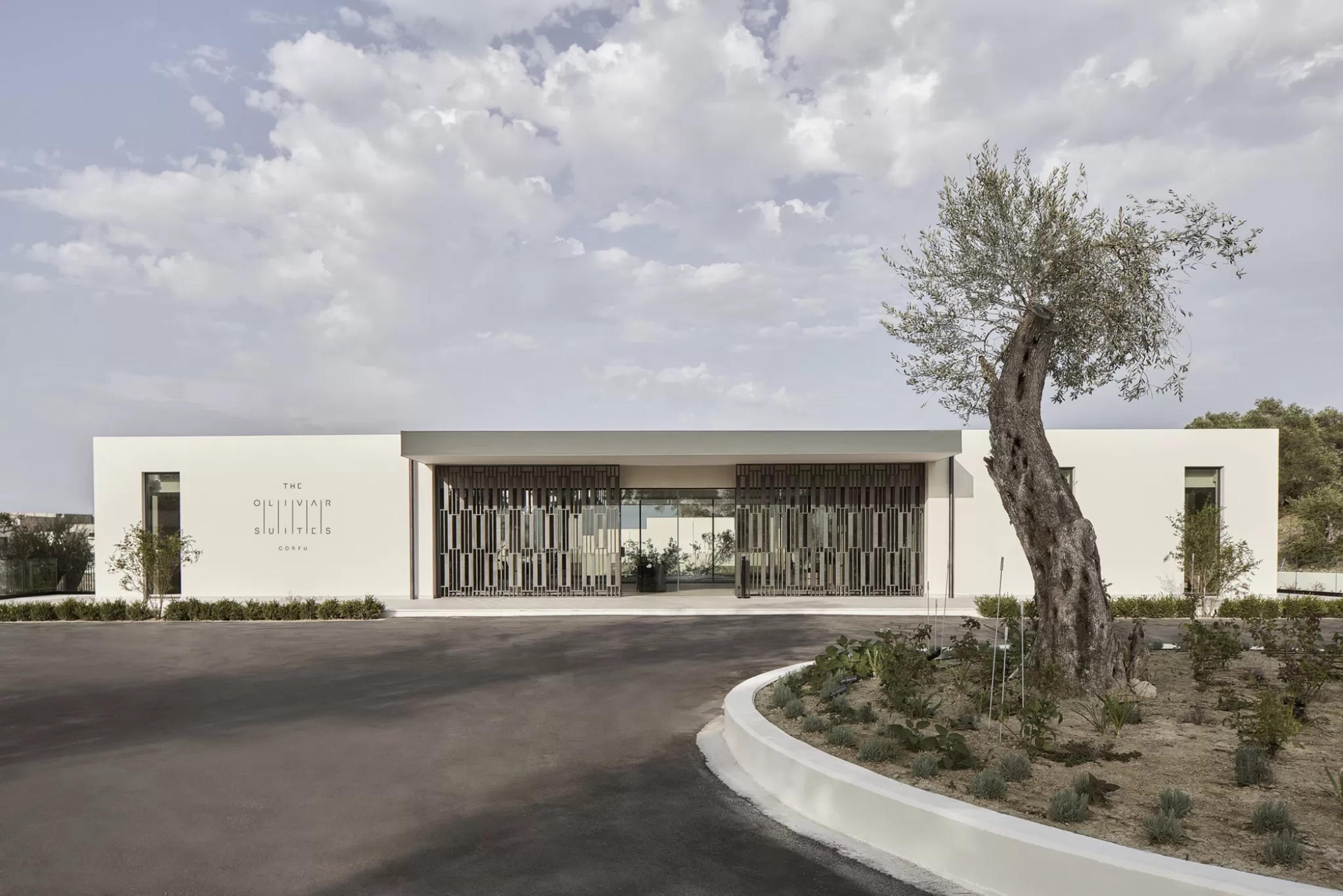 The entrance building of the hotel in daylight, with a slatted screen across the front and an old olive tree beside the driveway.