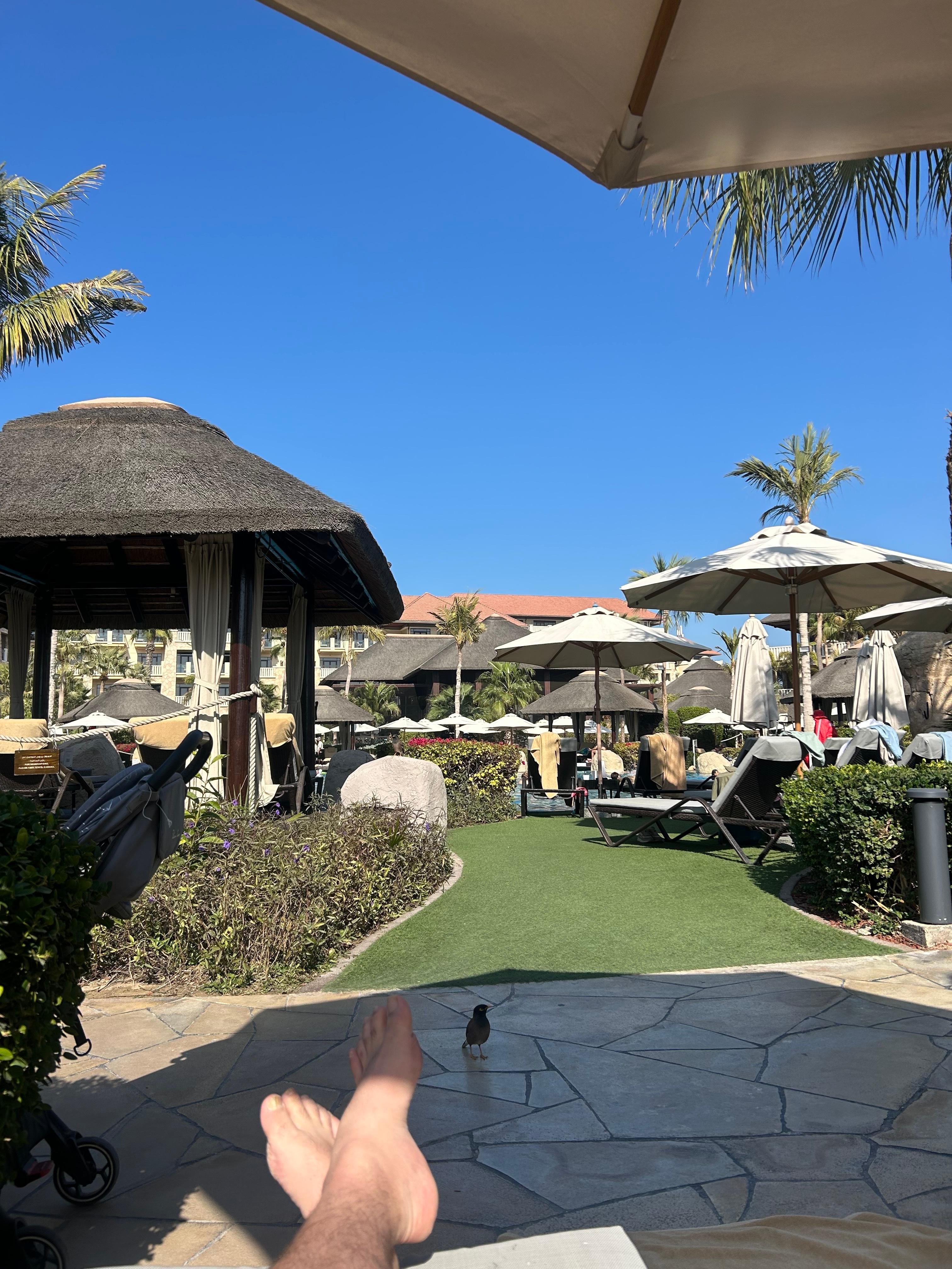 Thatched cabanas and sun loungers on artificial lawn beside the resort's main building