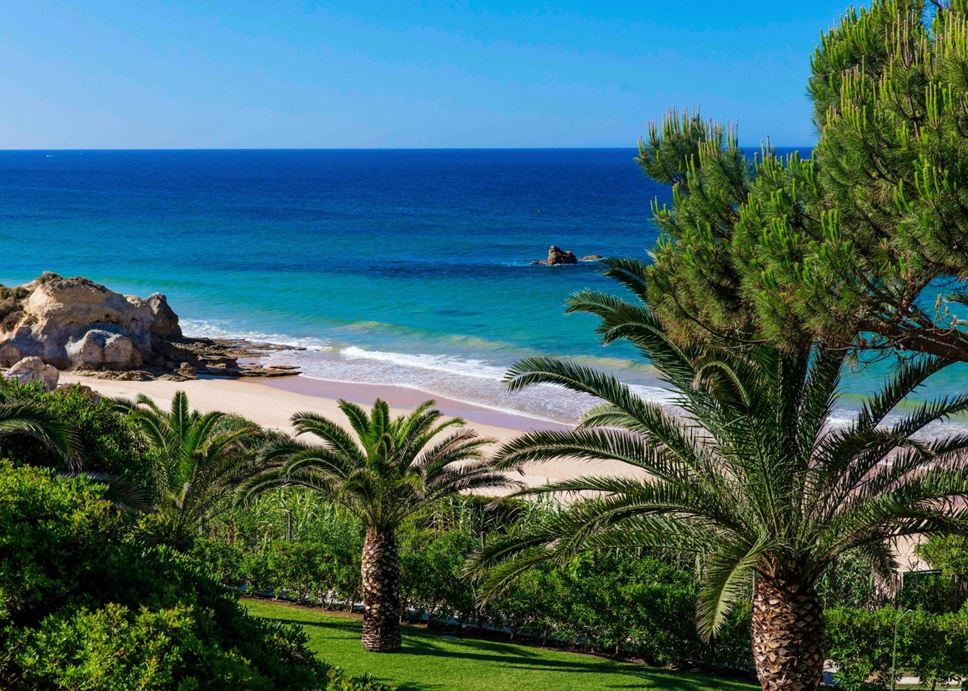 A view through palm trees of a sandy beach and turquoise sea, with rocks at the water's edge.