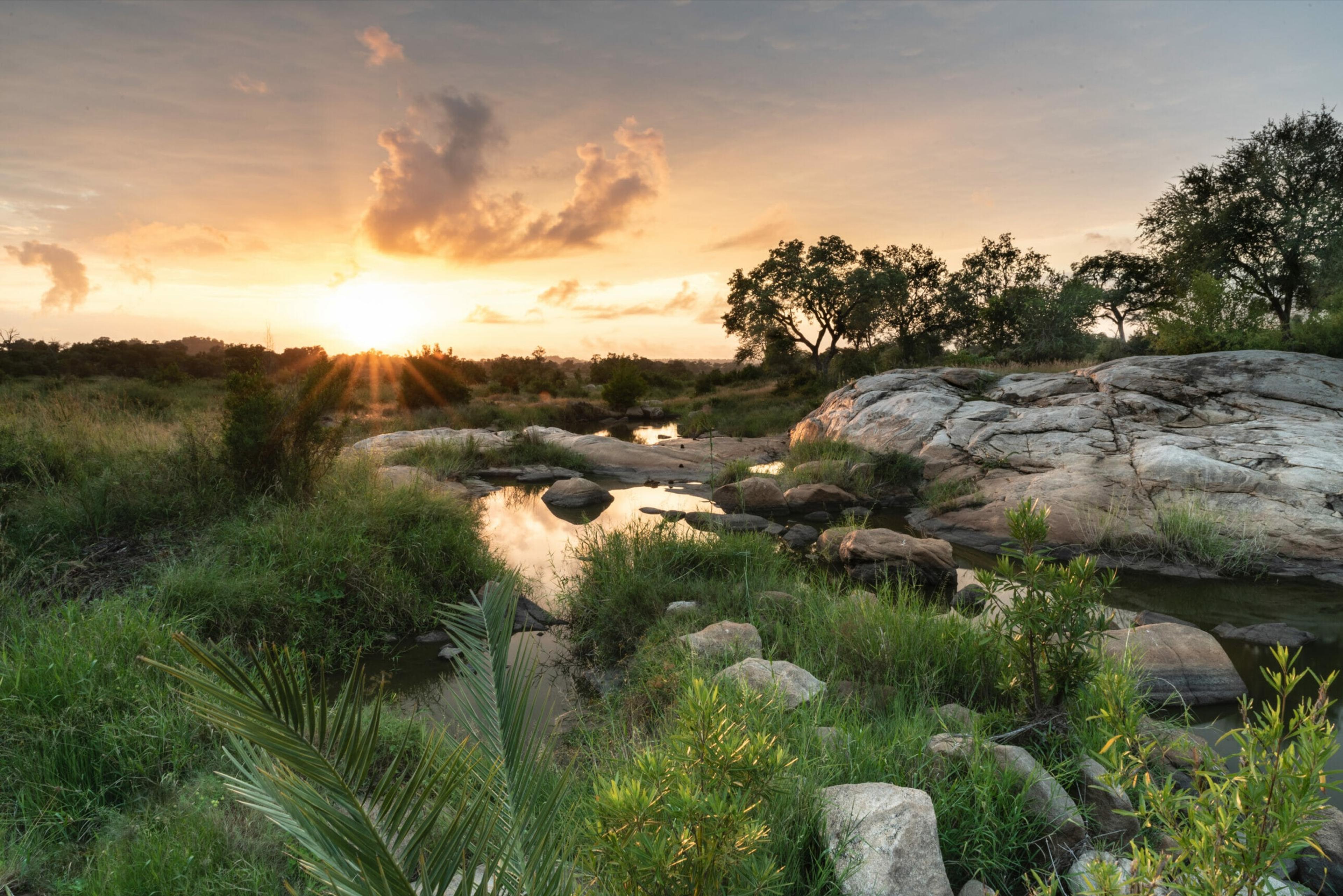 a rocky riverbed with pools of water and grass at sunrise, trees and granite boulders along the banks