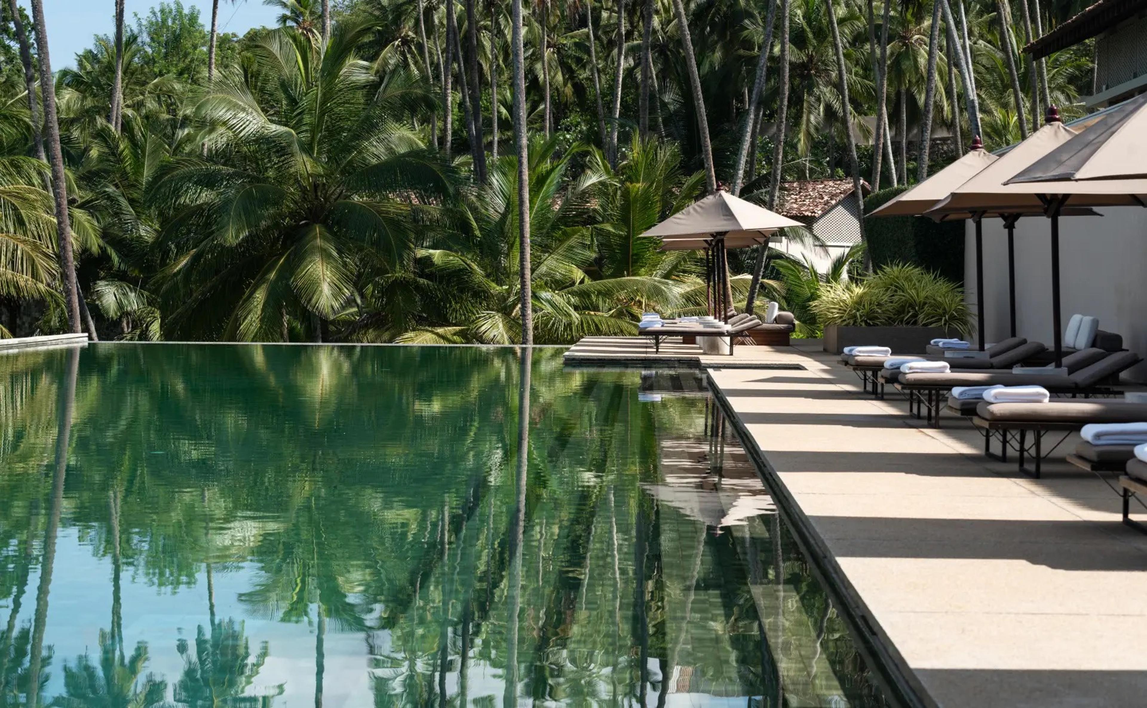 An infinity pool beside sun loungers and umbrellas, with tall palm trees reflected in the still water.