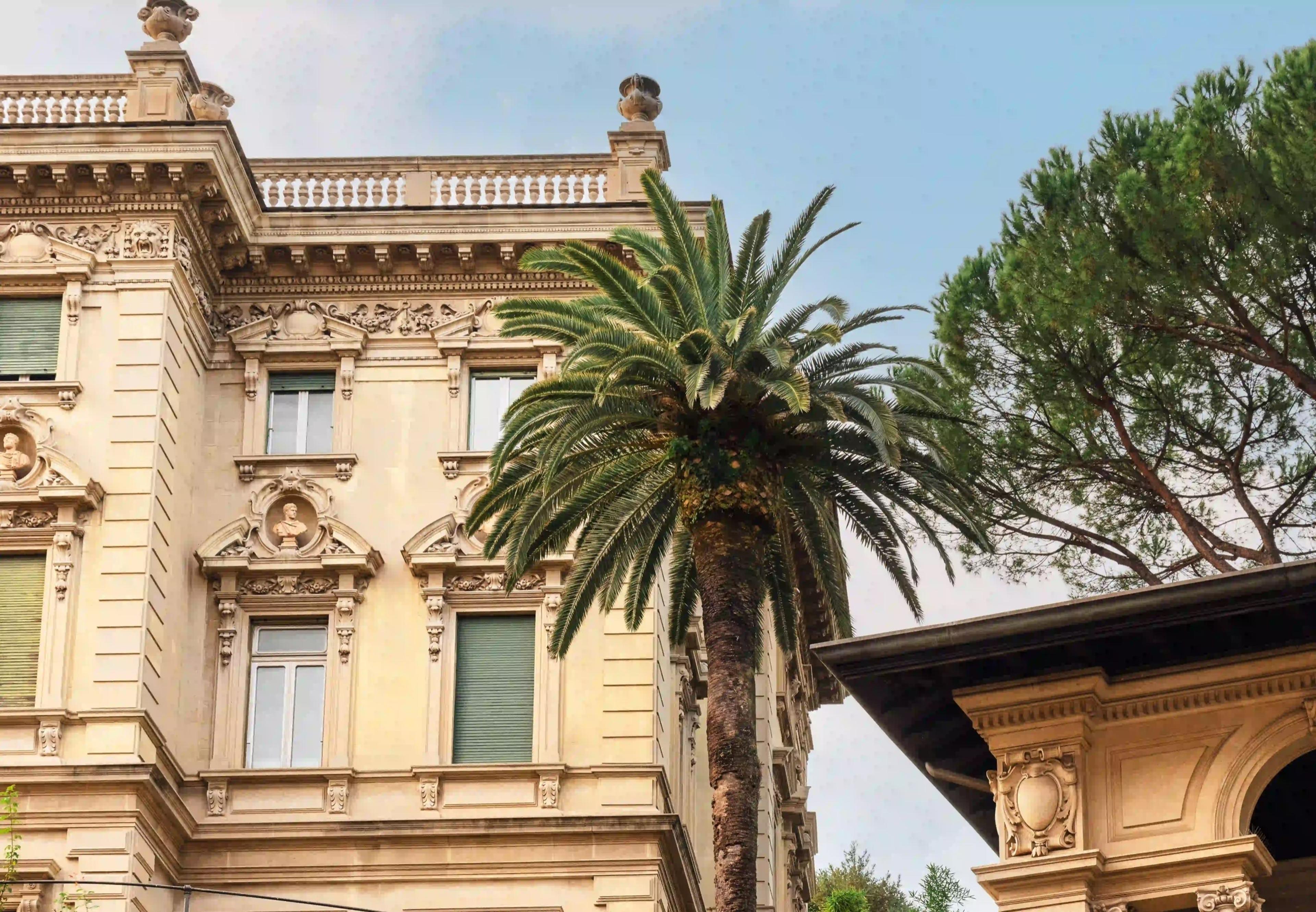 A cream stone building with carved sculptural details and green shutters, framed by palm and pine trees against a blue sky.
