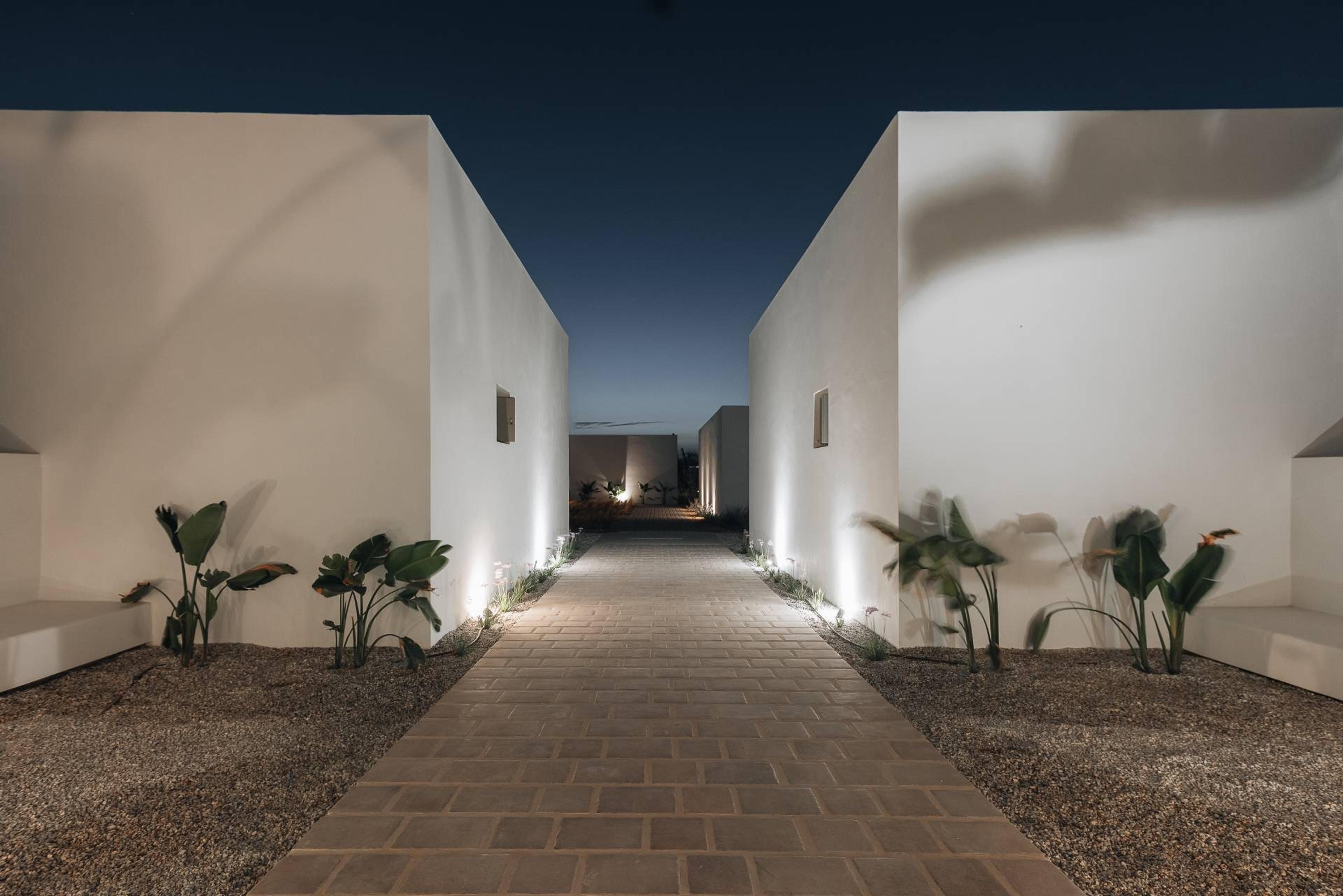 A paved path lit at night, leading between two tall white walls toward buildings beyond, with plants either side.