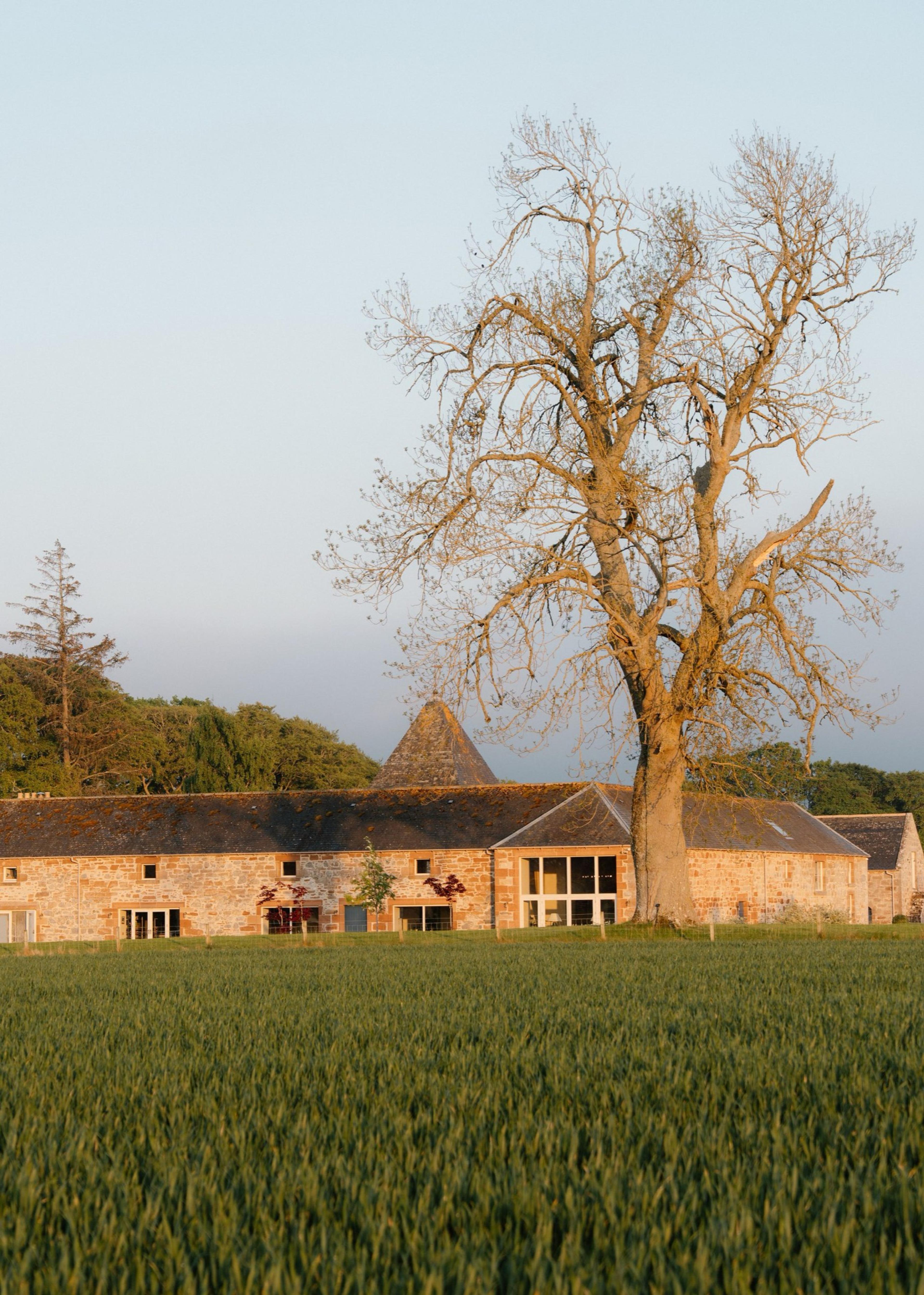 A stone building with gabled roofs beside a bare tree, lit by low golden sun, with an open lawn in front.