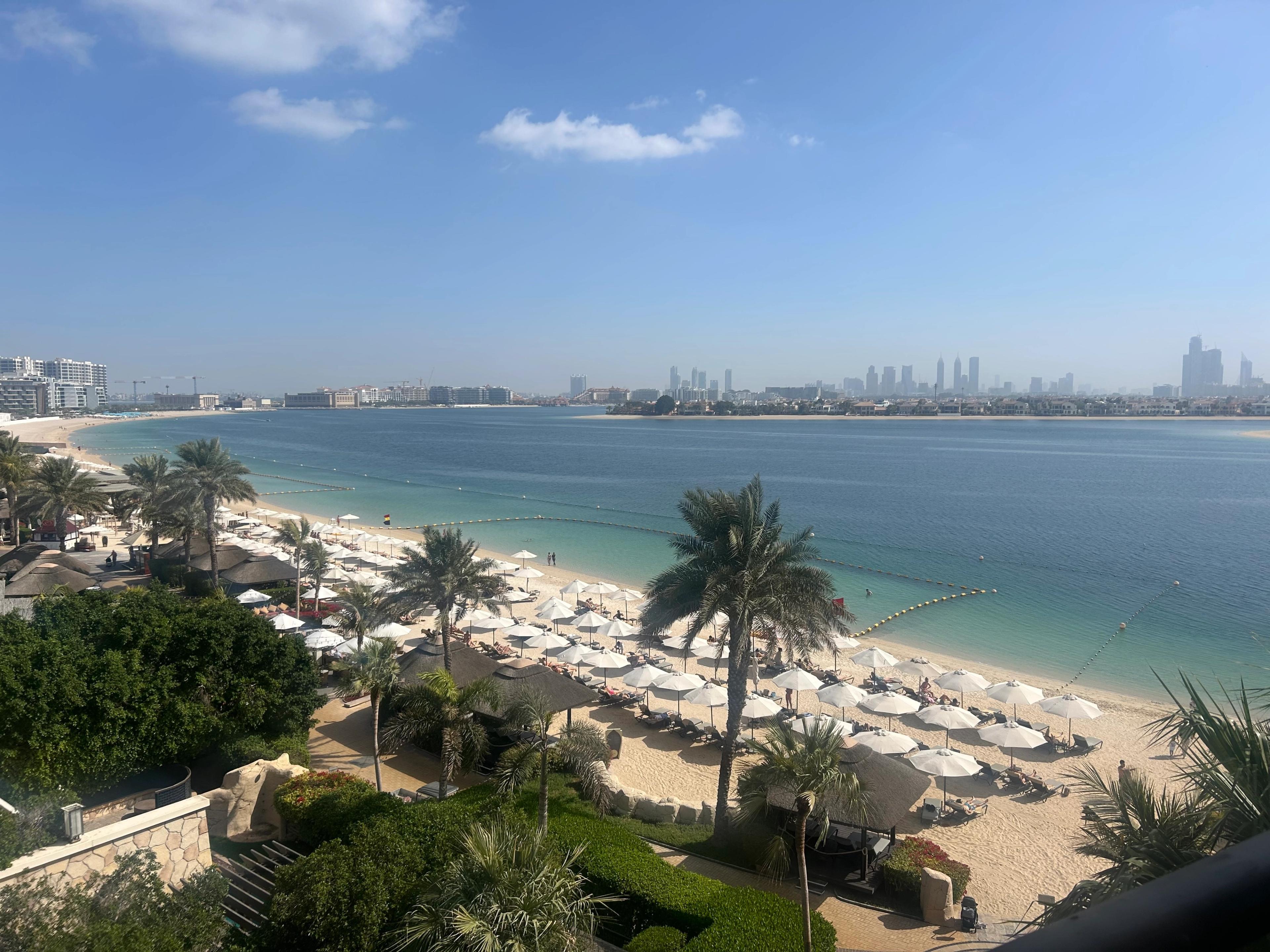 Wide view across the lagoon from a high balcony, palm tree in the foreground and the Dubai skyline across the water