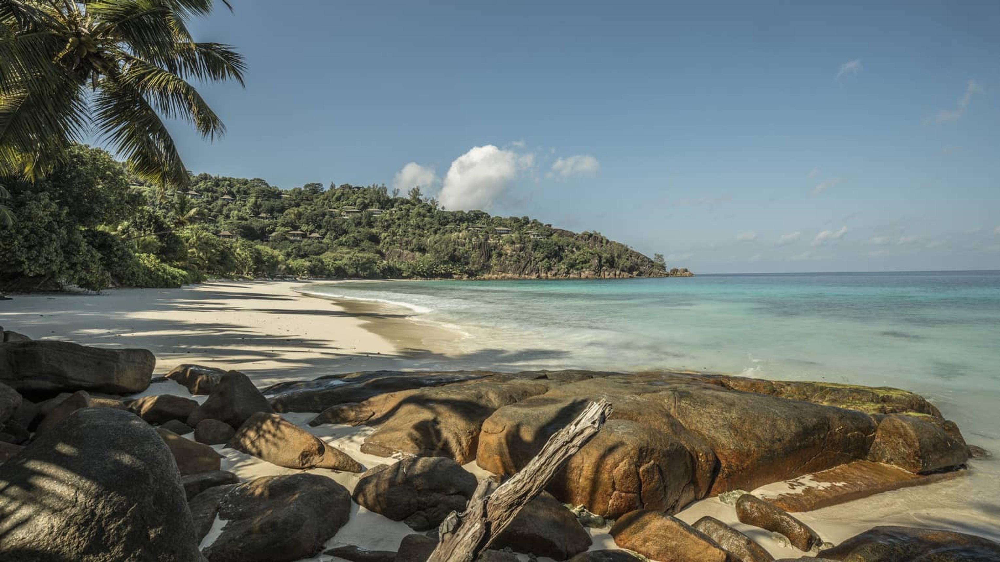 A rocky beach with granite boulders and a palm frond overhanging turquoise water, a tree-covered headland beyond.