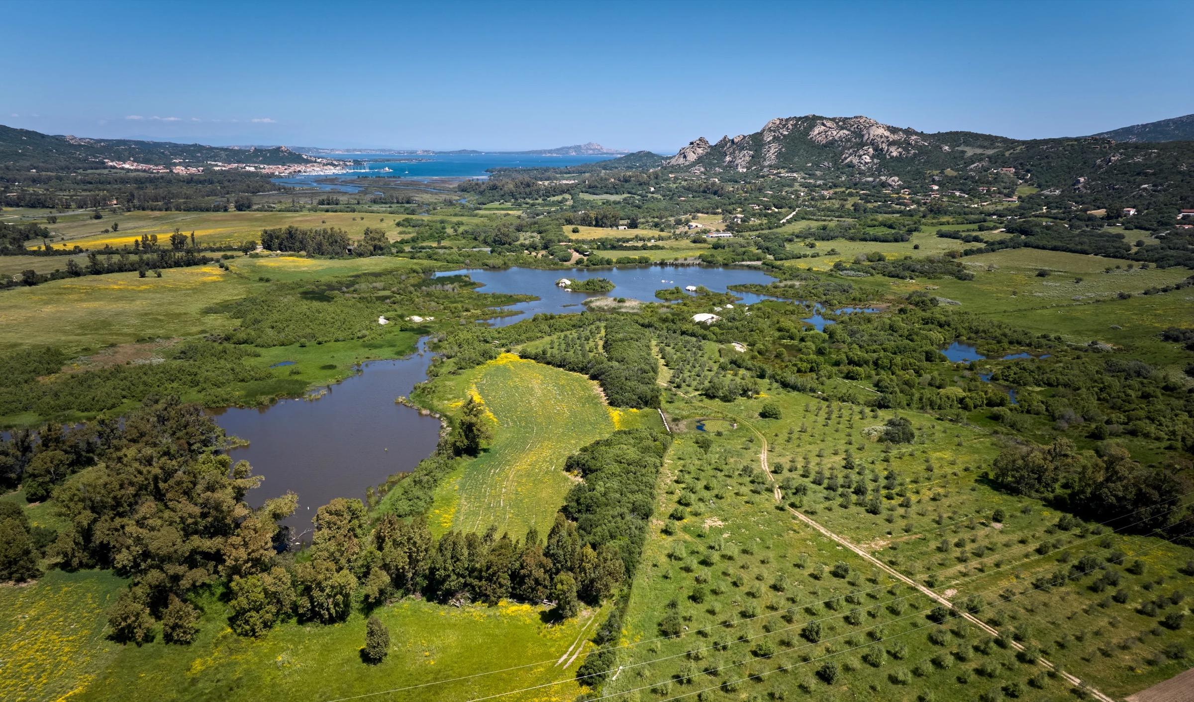 an aerial view of a wetland and olive groves below wooded hills, with the sea and mountains in the distance