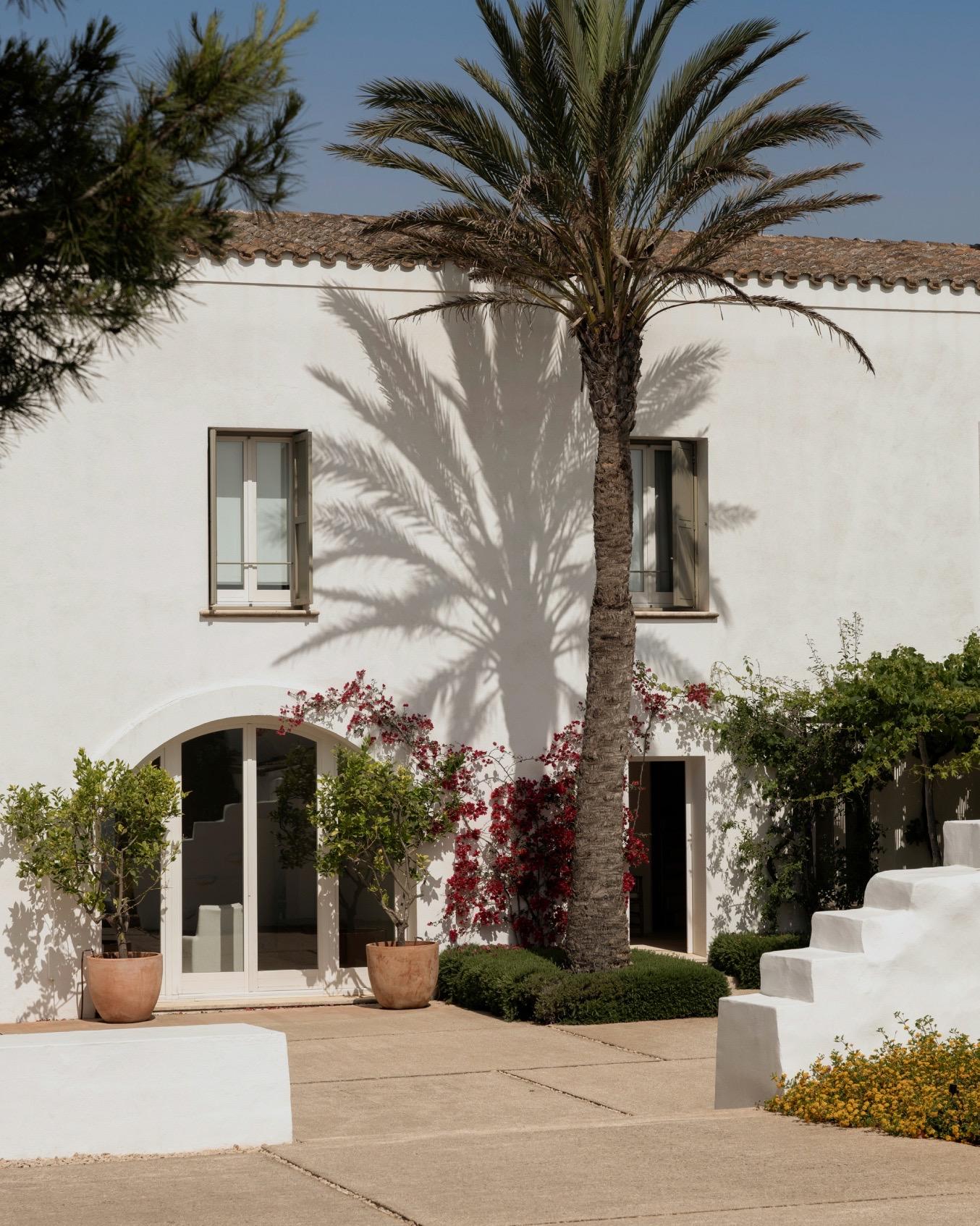 A white building with a staircase and a tall palm tree at its entrance, with potted plants and bougainvillea climbing the wall.
