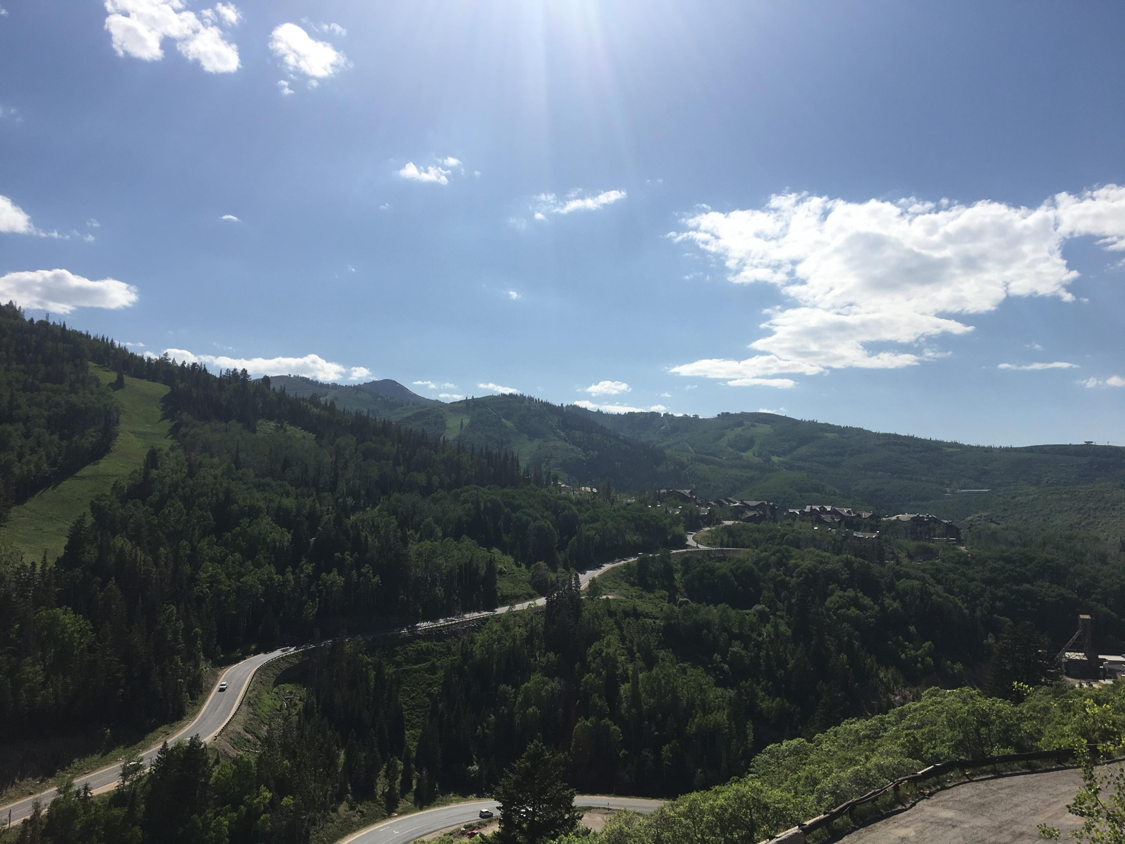 Pine-covered slopes and ski runs above Park City in summer, a road winding through the trees below