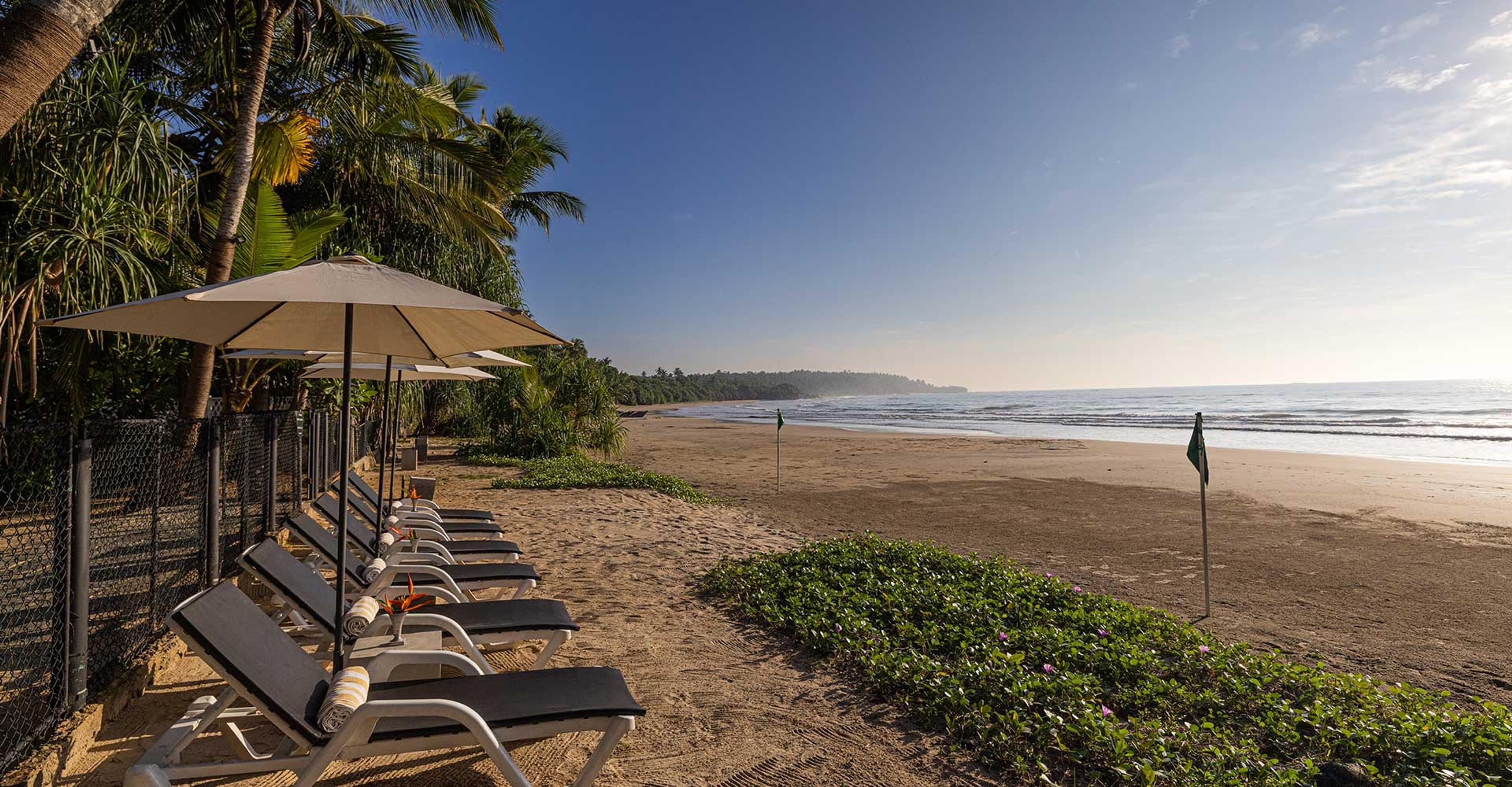 A row of loungers with navy cushions under parasols on the sand, with a strip of sea and palm trees beyond.