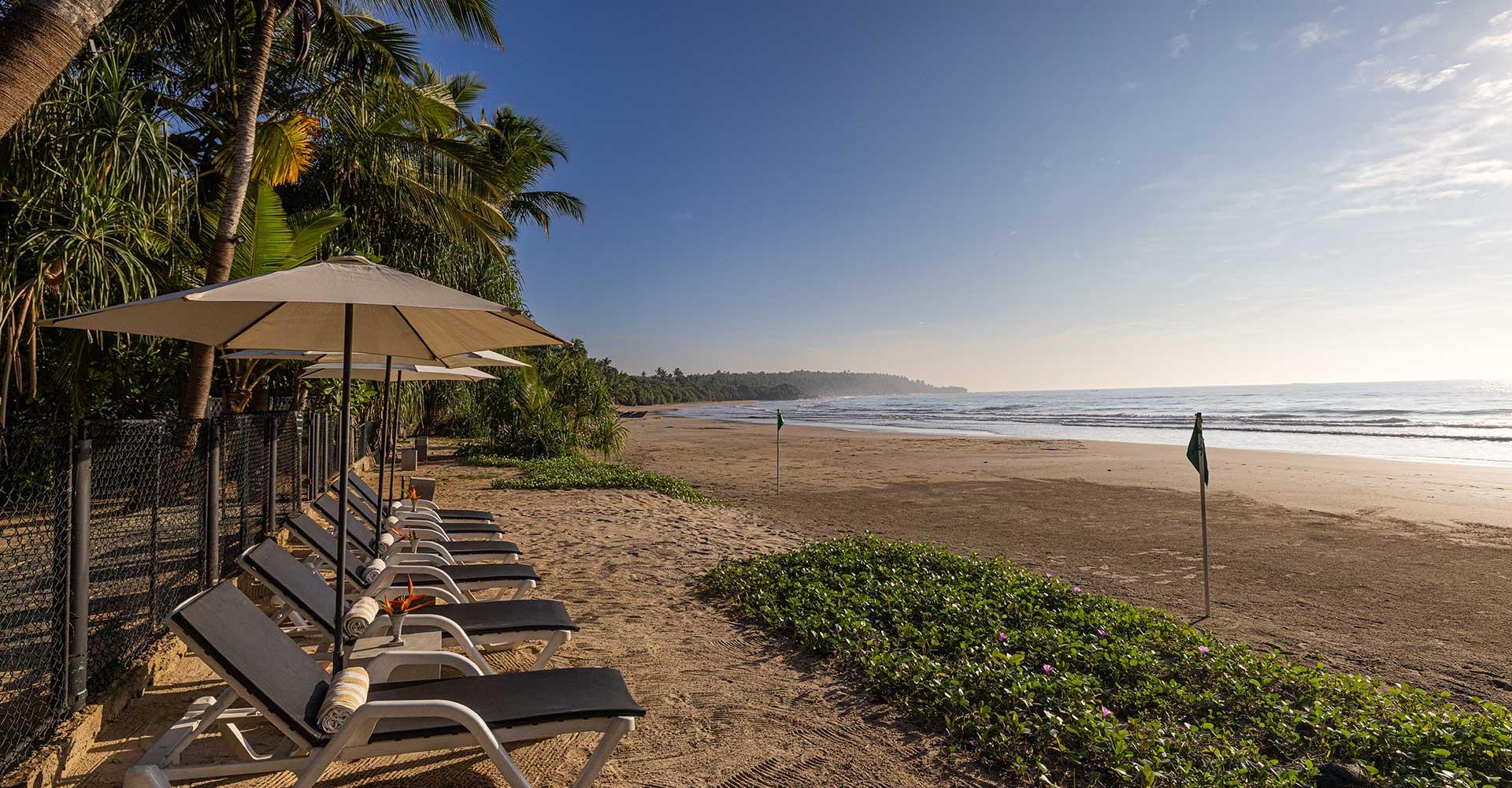 A row of loungers with navy cushions under parasols on the sand, with a strip of sea and palm trees beyond.