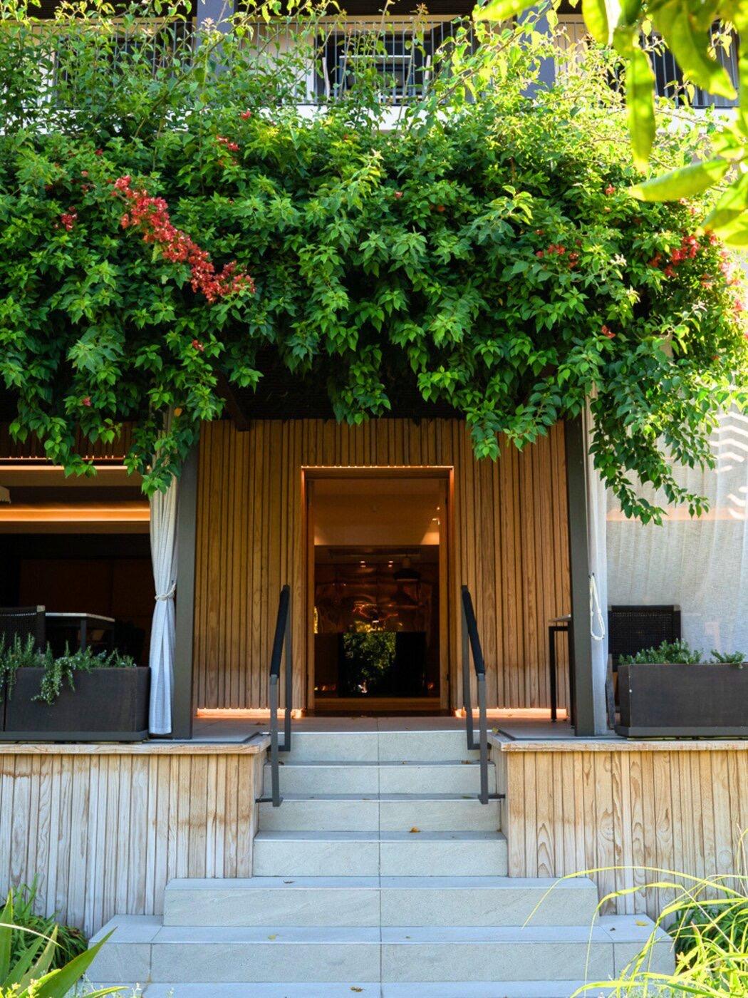 The front steps of a timber-clad building with an open door at the top, and bougainvillea growing over the roof and the wall above.