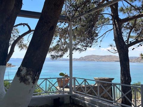 Pine trunks framing a view from the terrace across turquoise water to the hills of Rhodes