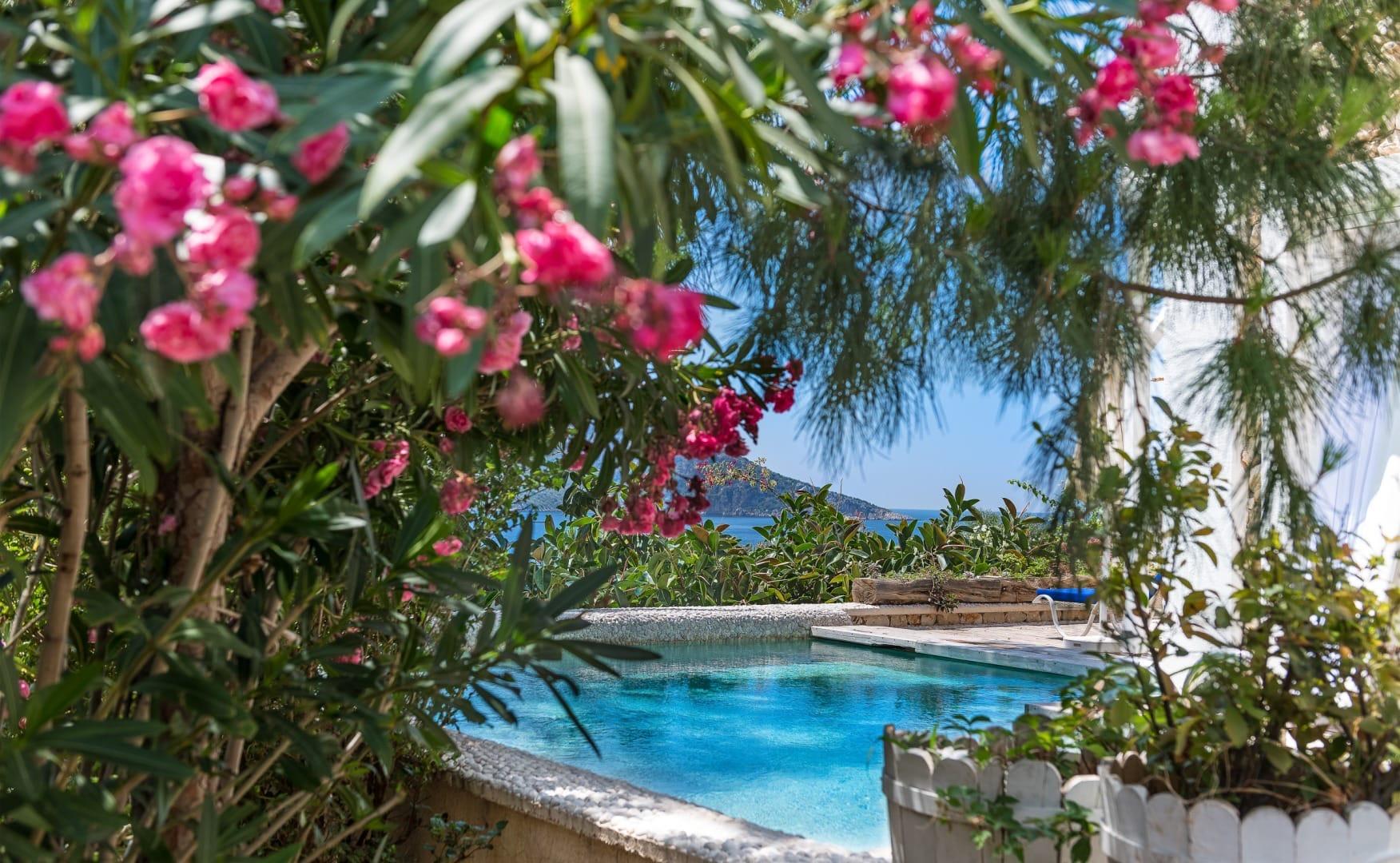 A small swimming pool seen through pink bougainvillea and pine branches, with the sea and a headland beyond.