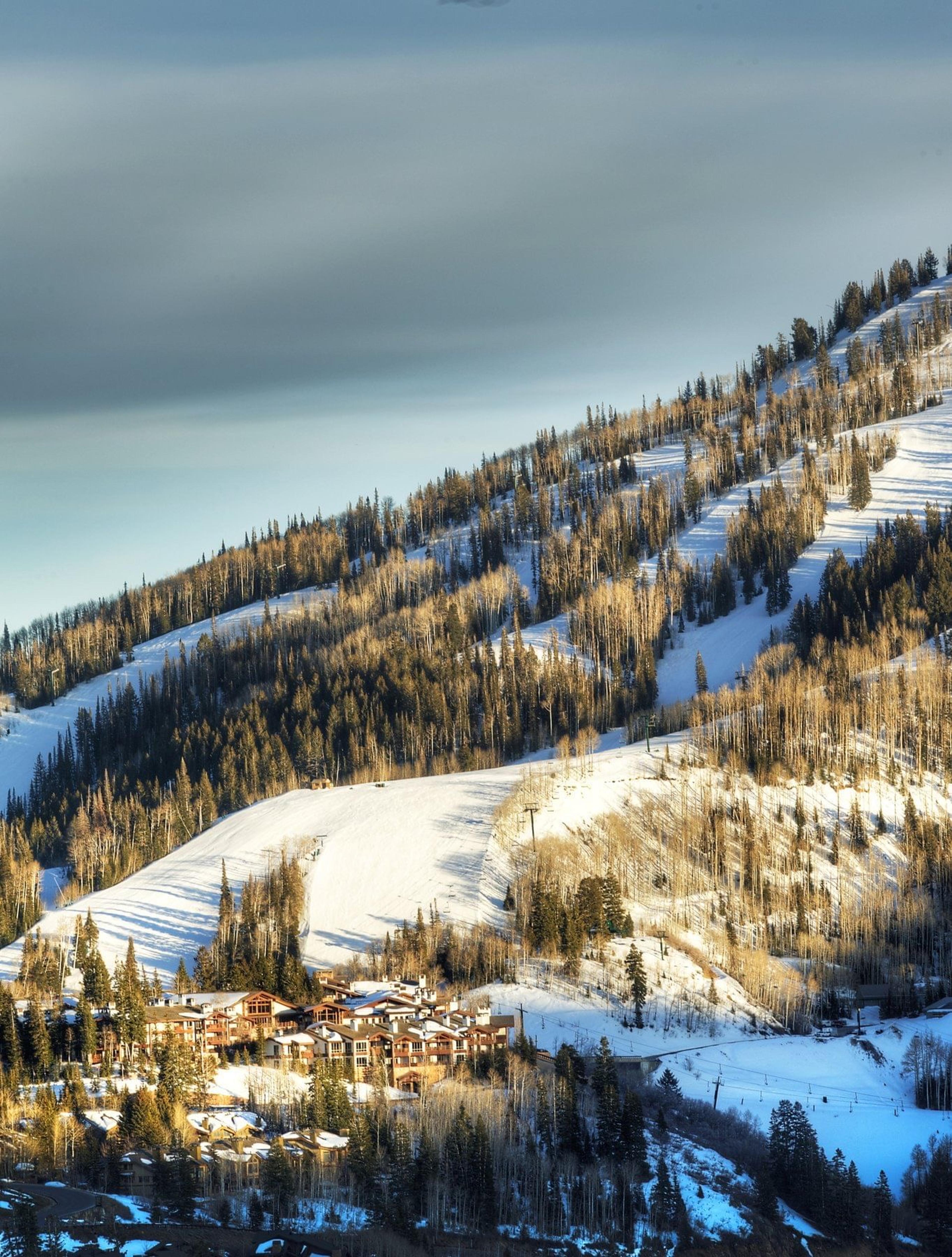 a vertical aerial view of a snow covered mountainside cut by ski runs, with the lodge's rooftops small at the bottom of the frame