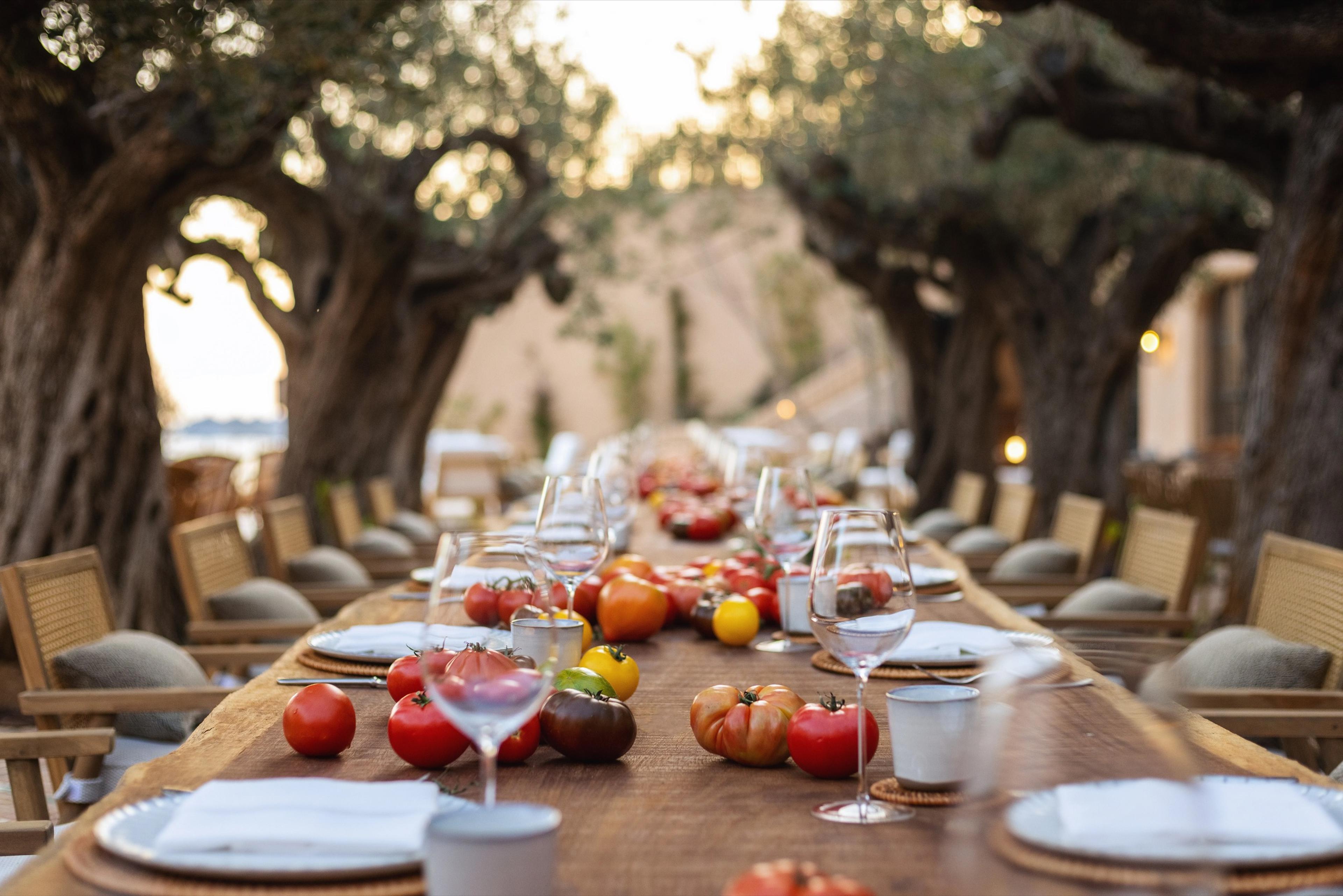 A long wooden table outdoors under old olive trees, set with plates, folded napkins and wine glasses, with heirloom tomatoes along its length and cushioned chairs down both sides.
