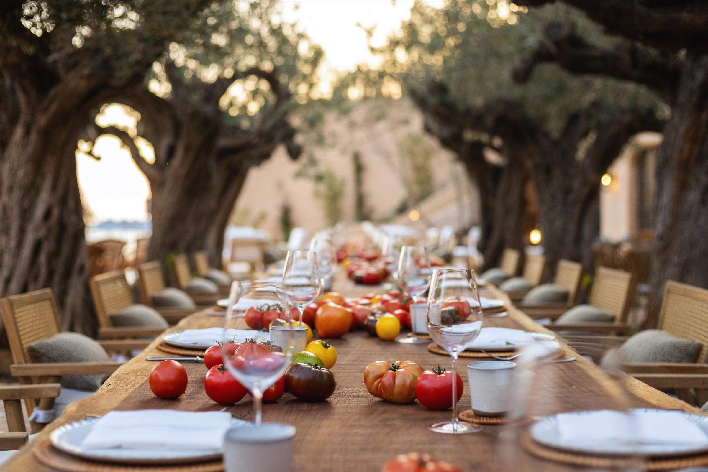 A long wooden table outdoors under old olive trees, set with plates, folded napkins and wine glasses, with heirloom tomatoes along its length and cushioned chairs down both sides.