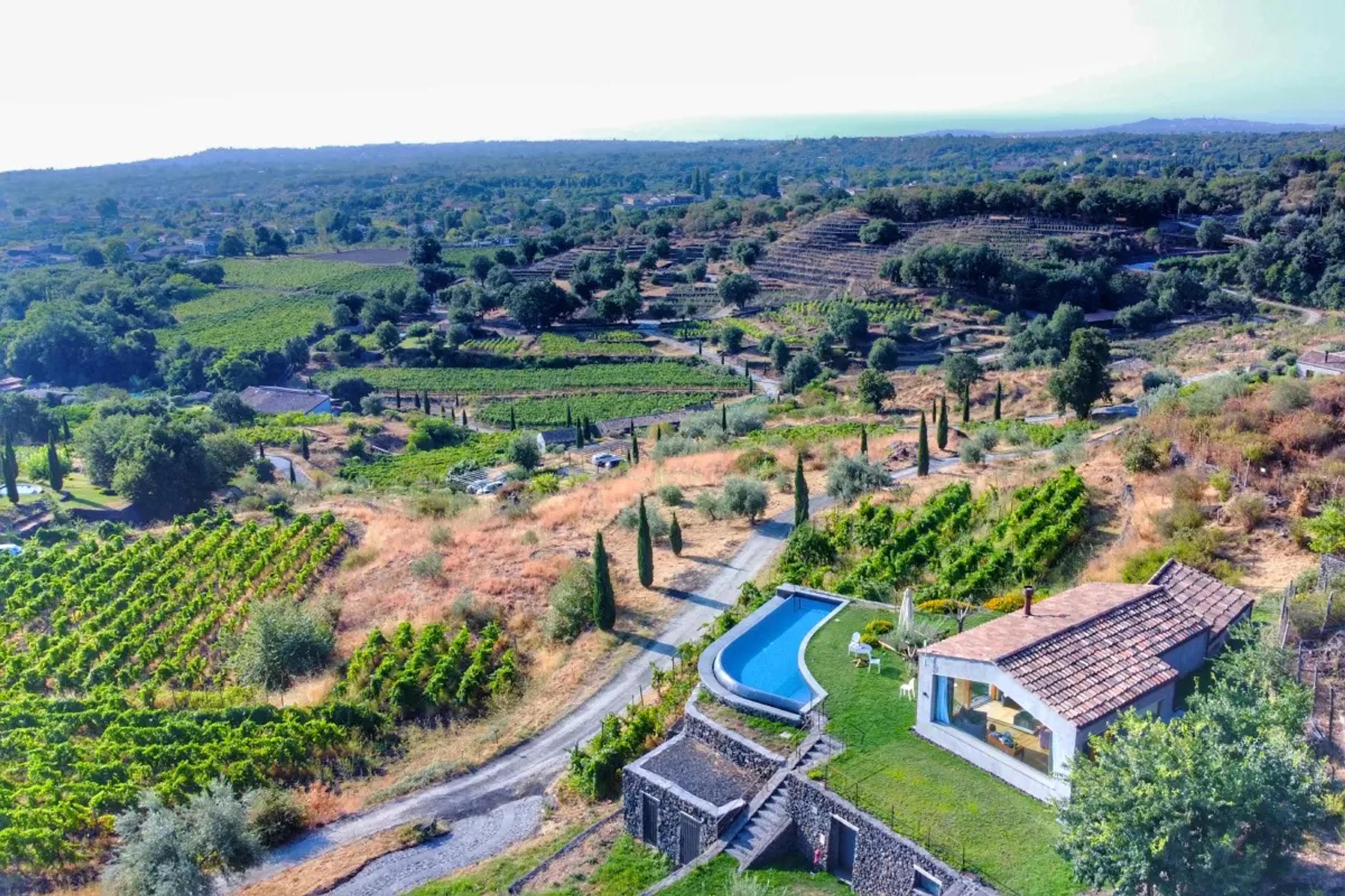 An aerial view of a stone villa with a curved pool beside rows of vines and olive groves, hills and coastline in the distance.