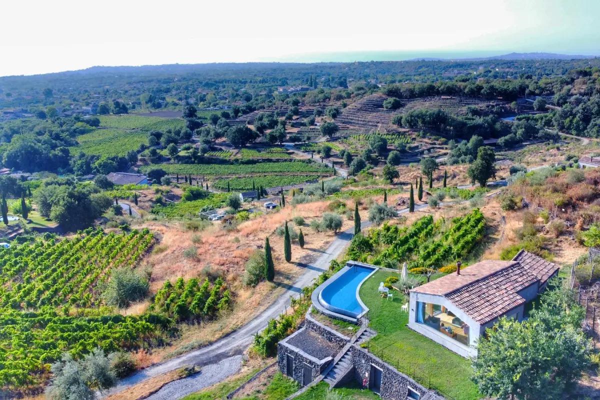An aerial view of a stone villa with a curved pool beside rows of vines and olive groves, hills and coastline in the distance.