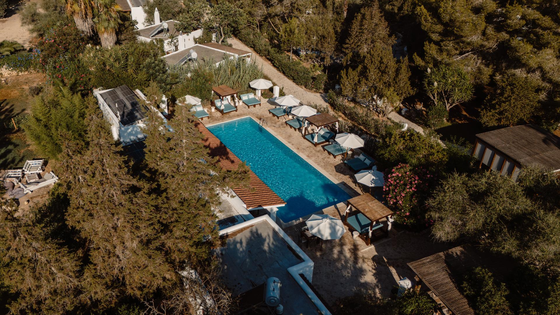 An aerial view of a rectangular swimming pool surrounded by sun loungers, umbrellas and daybeds, set among pine trees with whitewashed buildings alongside.