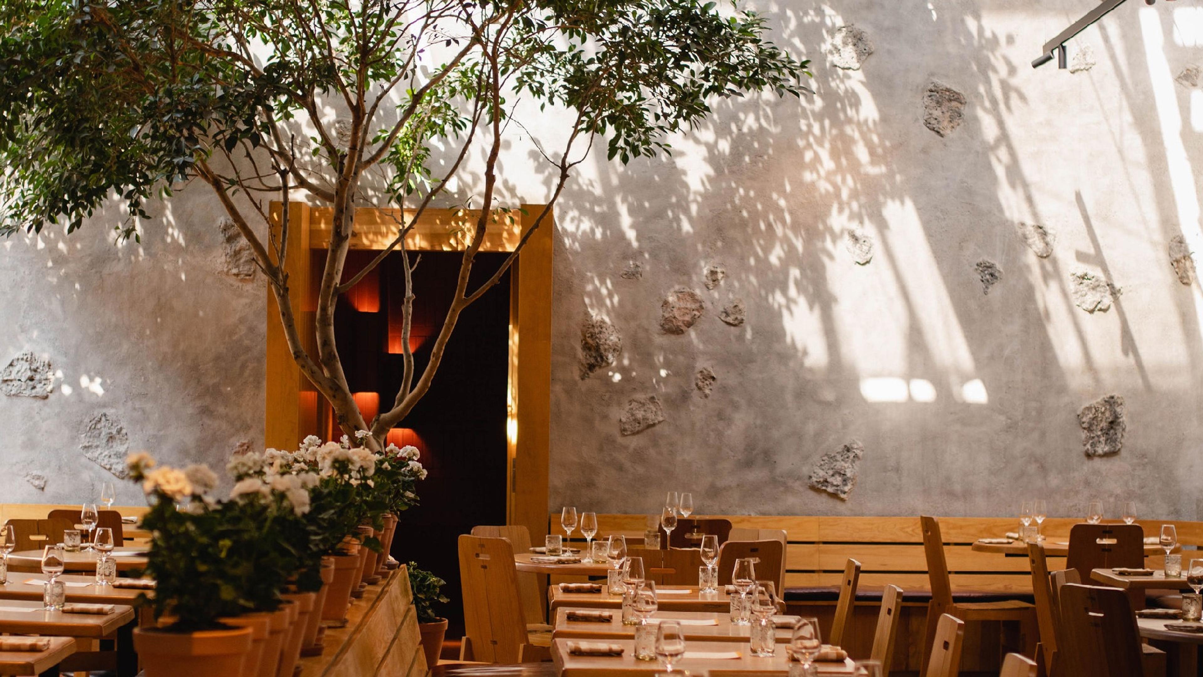 Maximo Bistrot's dining room, wooden tables set out under a tree against a whitewashed wall