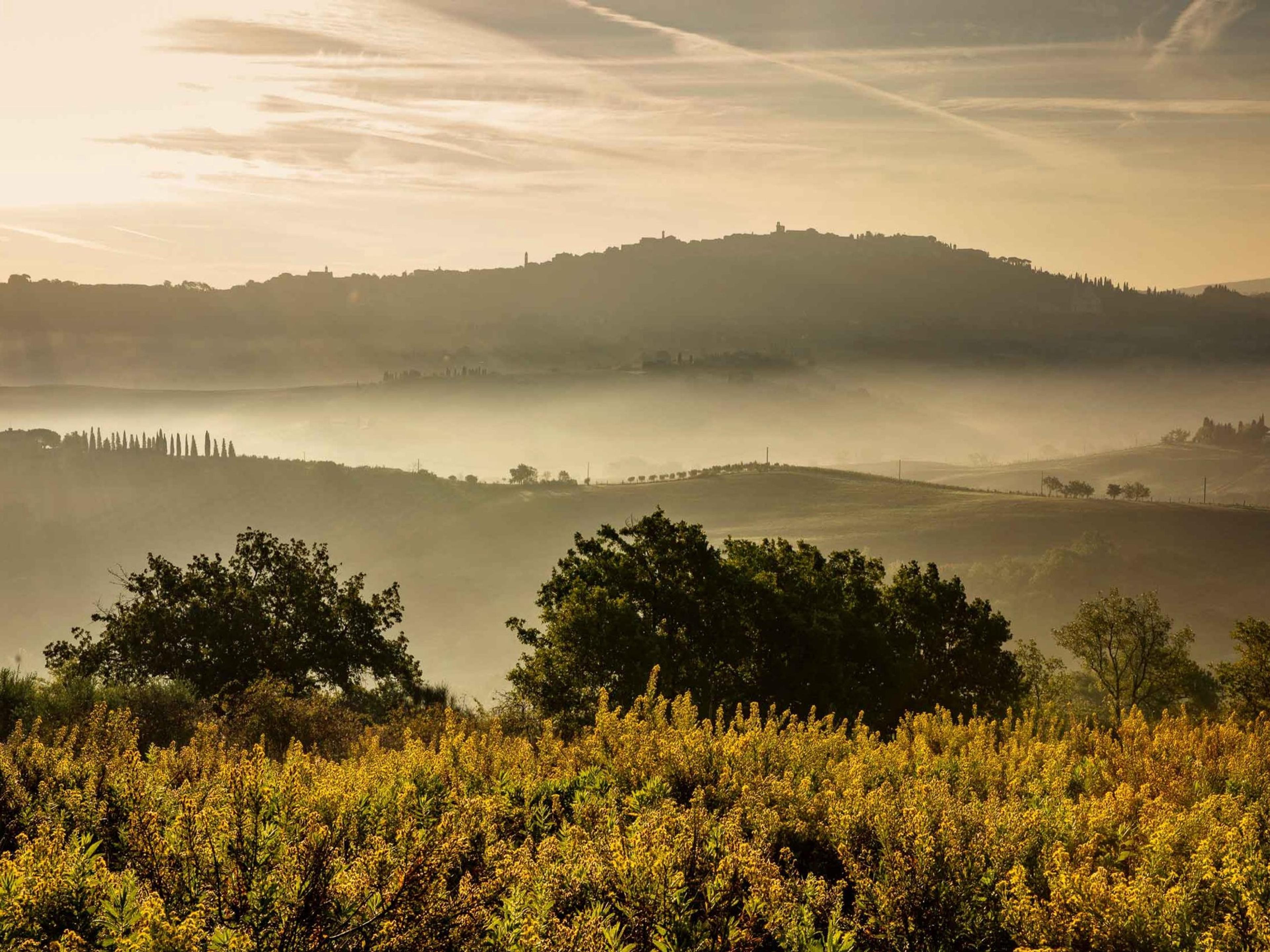 Mist lying in the valley at dawn, a hilltop town on the ridge beyond and yellow wildflowers in the foreground
