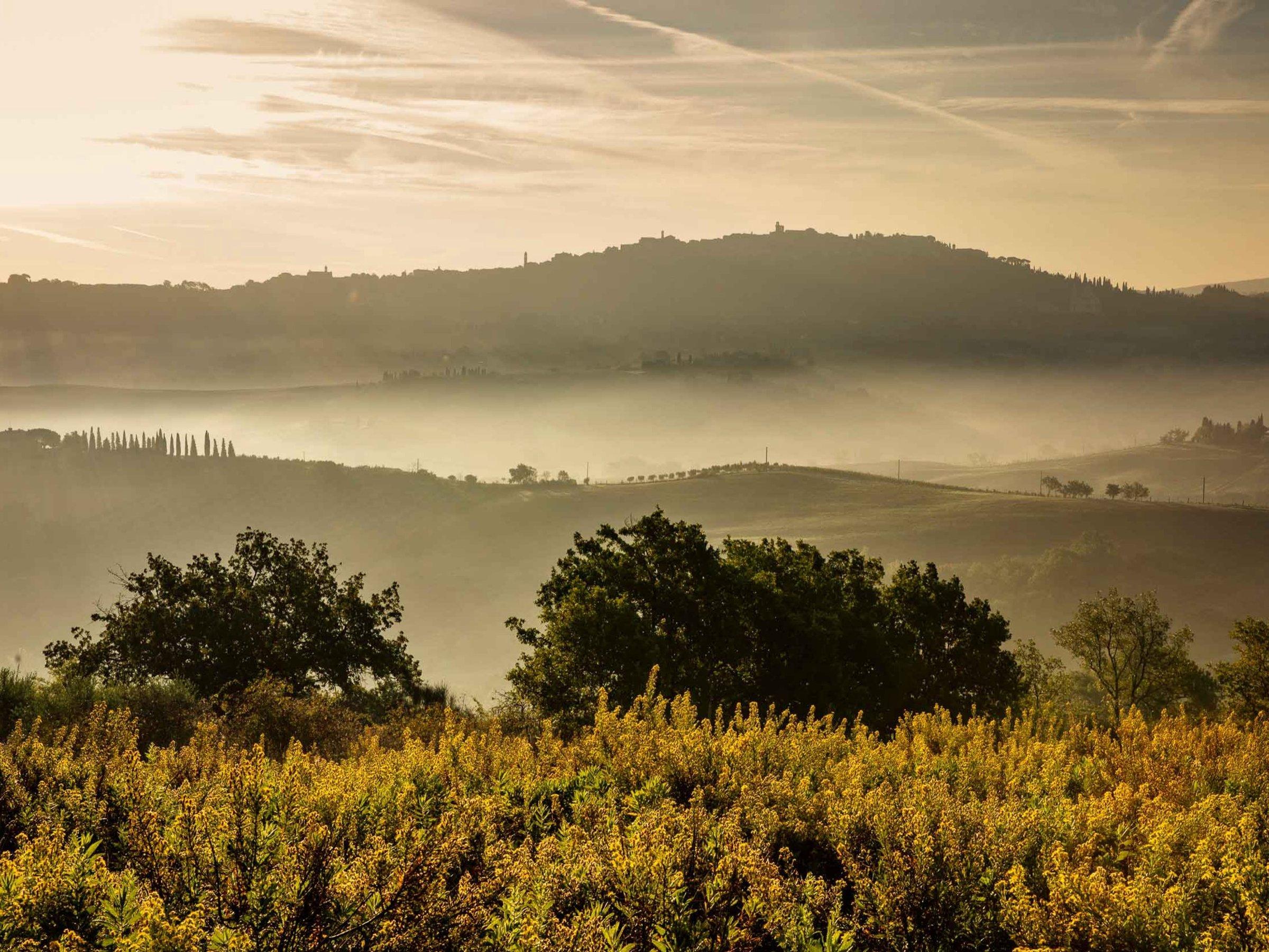 Mist lying in the valley at dawn, a hilltop town on the ridge beyond and yellow wildflowers in the foreground