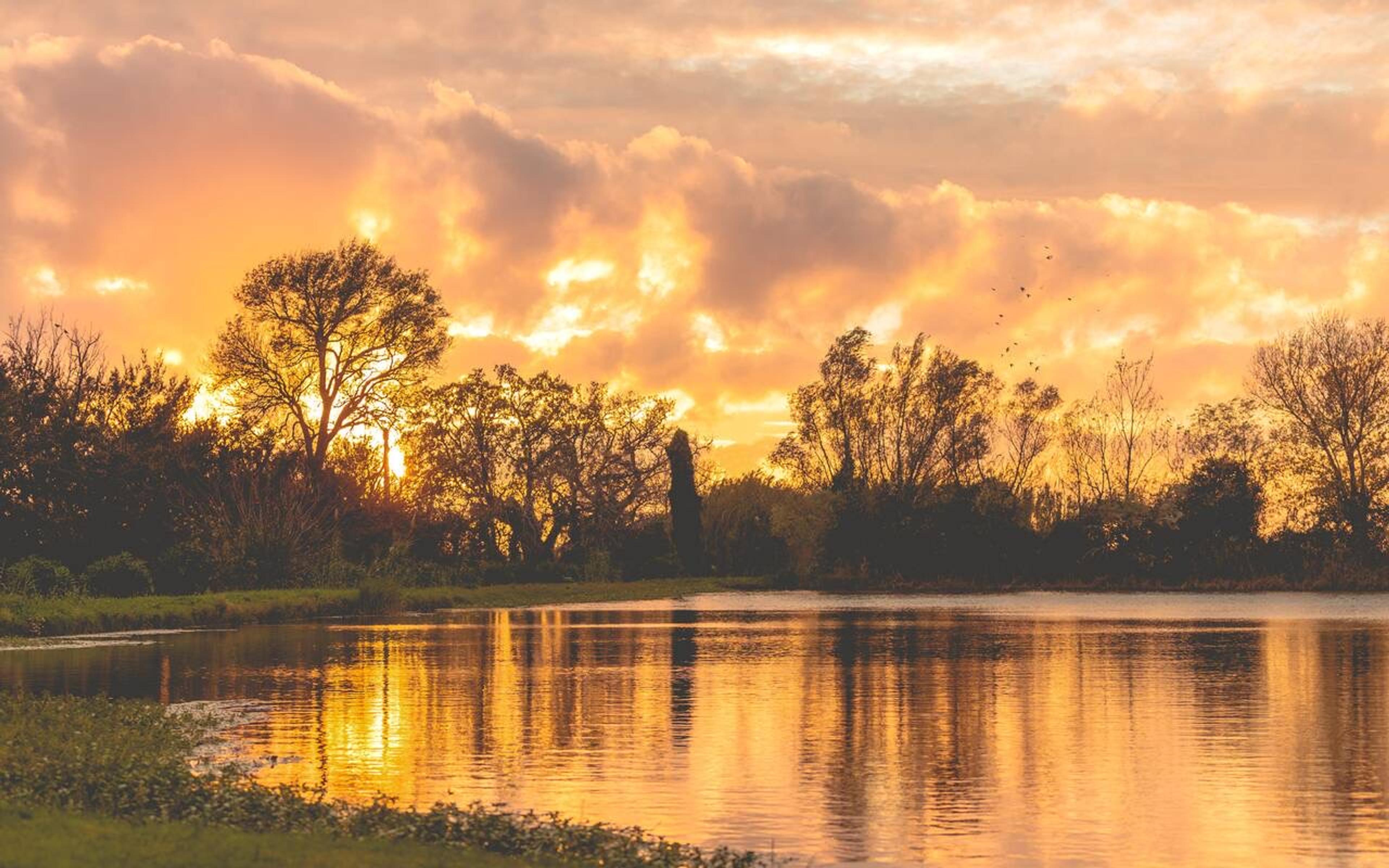 The sun setting over a still pond, the sky and water turned orange and gold, trees silhouetted on the far bank and birds in flight.