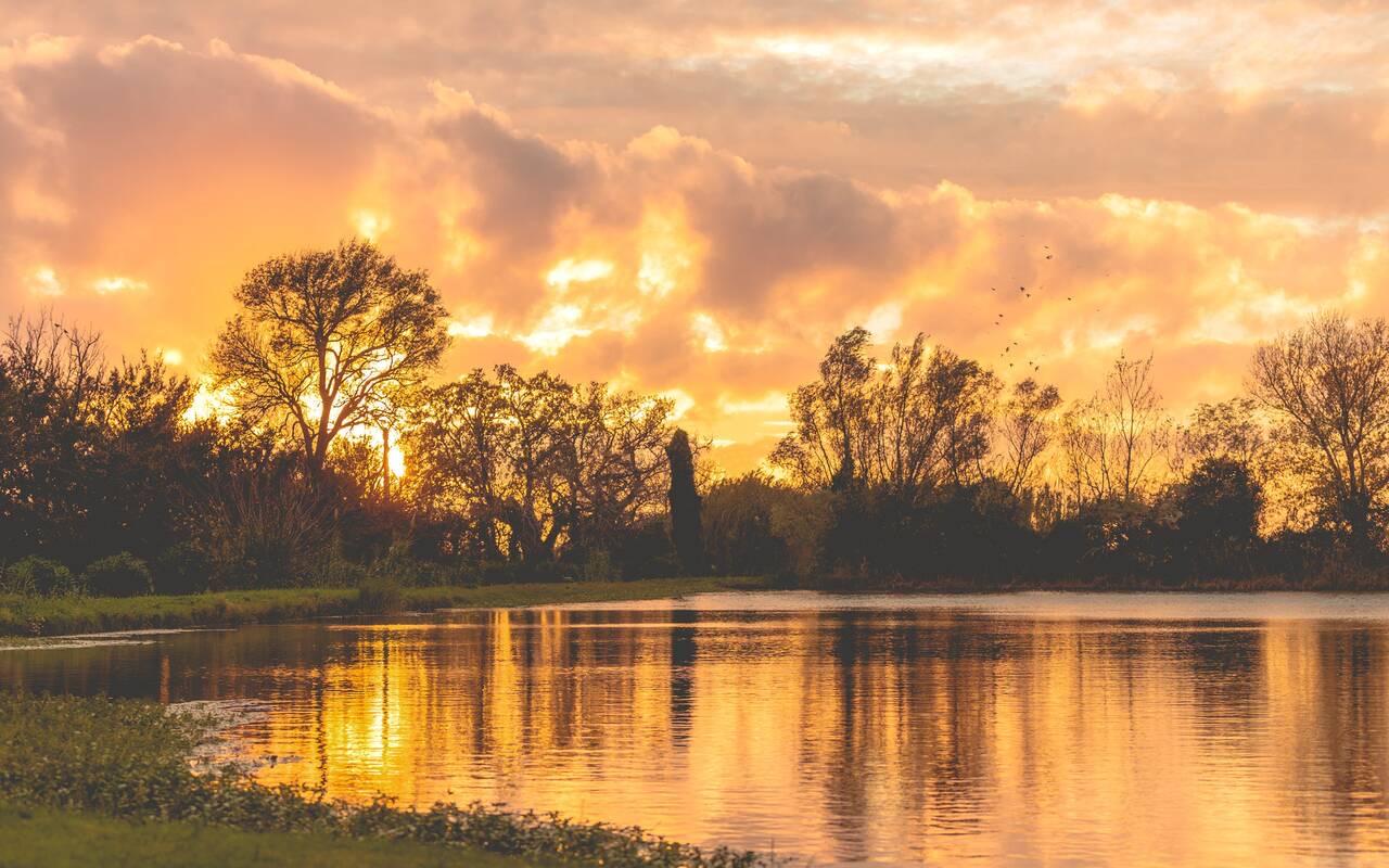 The sun setting over a still pond, the sky and water turned orange and gold, trees silhouetted on the far bank and birds in flight.
