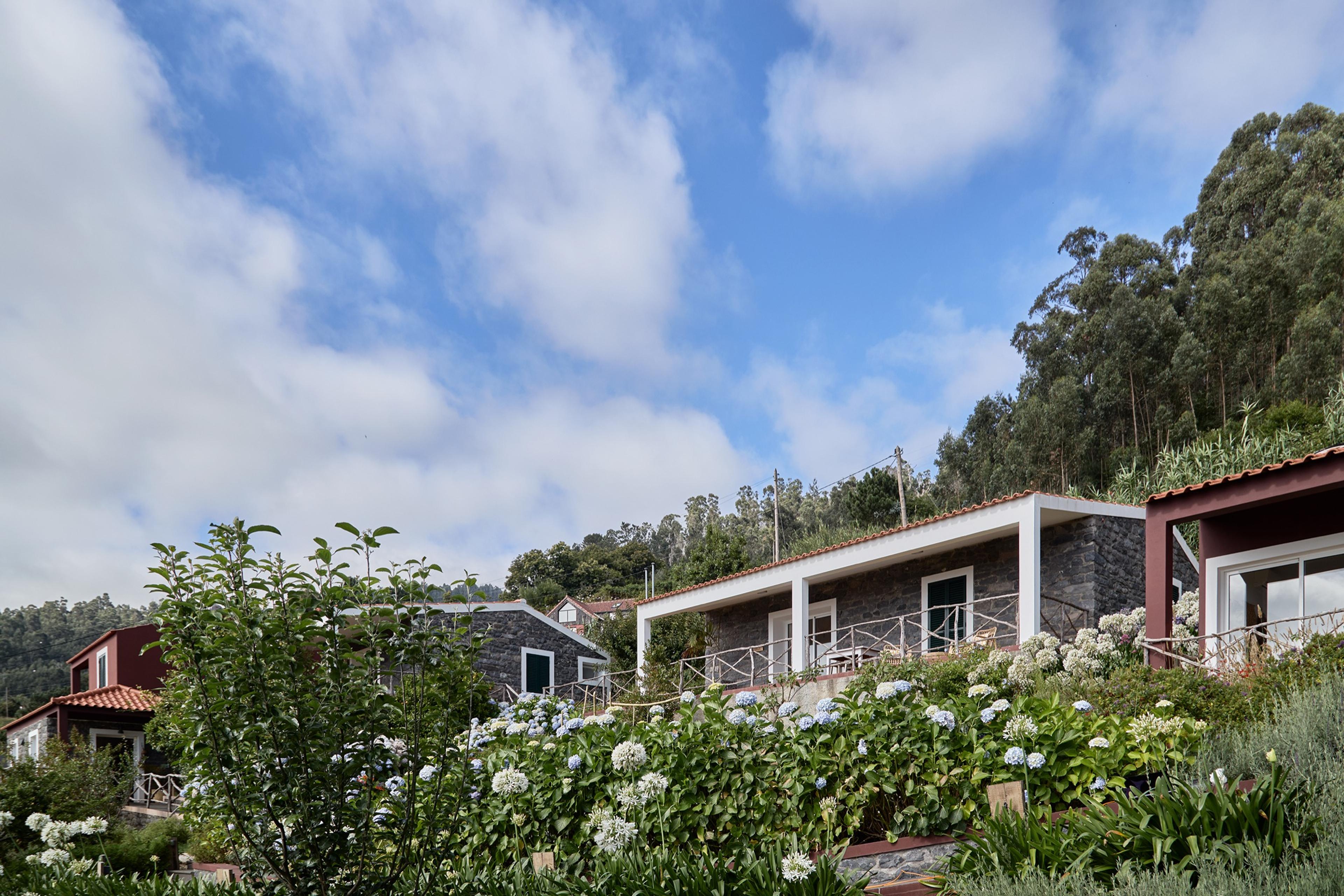 A hillside of white buildings with terracotta roofs and covered terraces, seen past a bank of blue and white hydrangeas with tall trees and a blue sky behind.