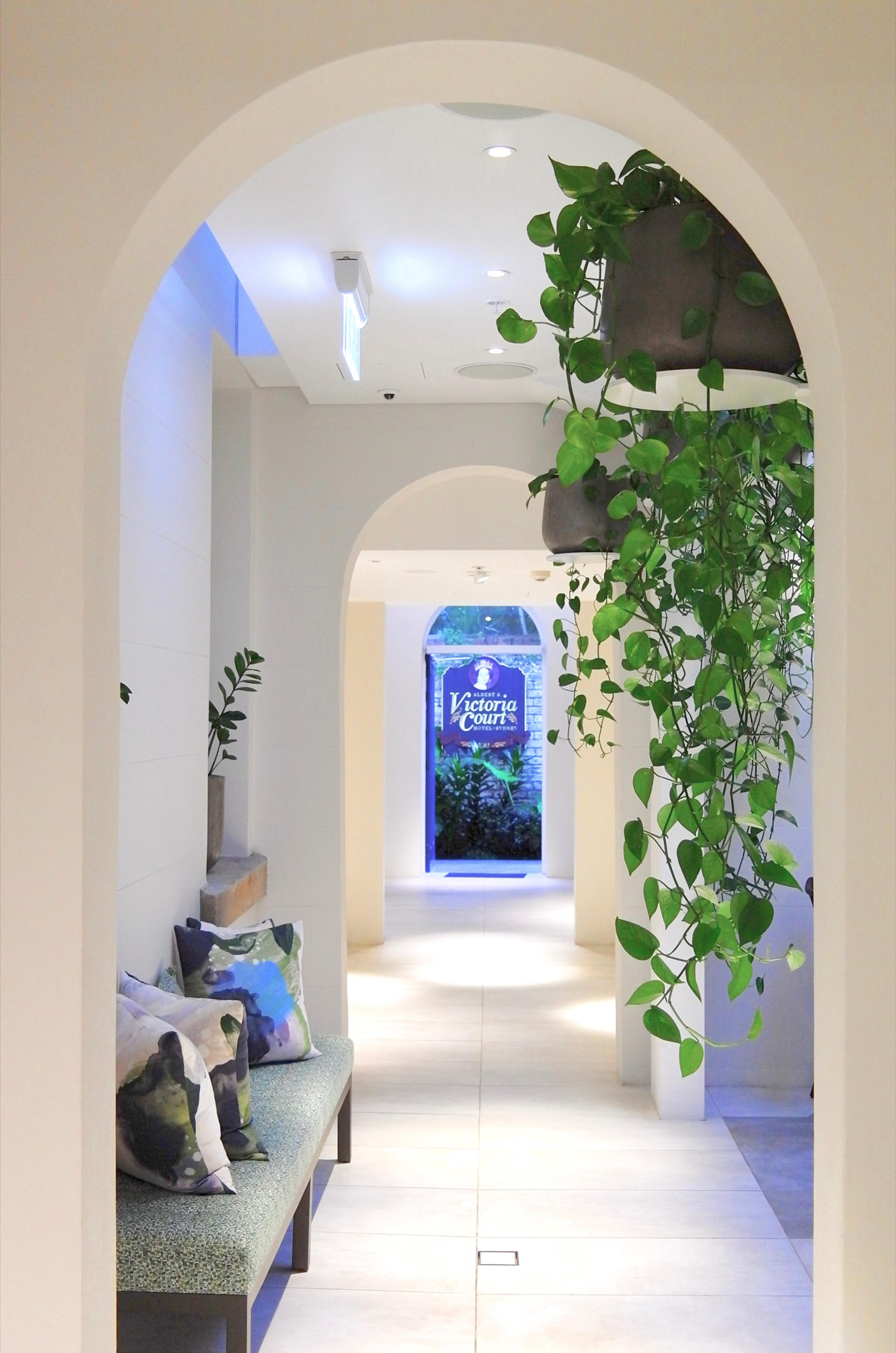 An arched white doorway framing a painting, with a fern hanging beside it