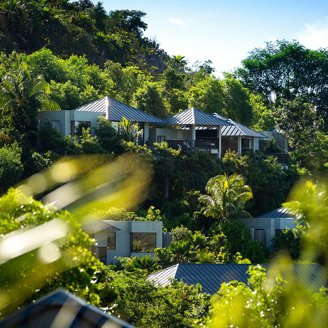 Villas with dark pitched roofs among the trees on the hillside