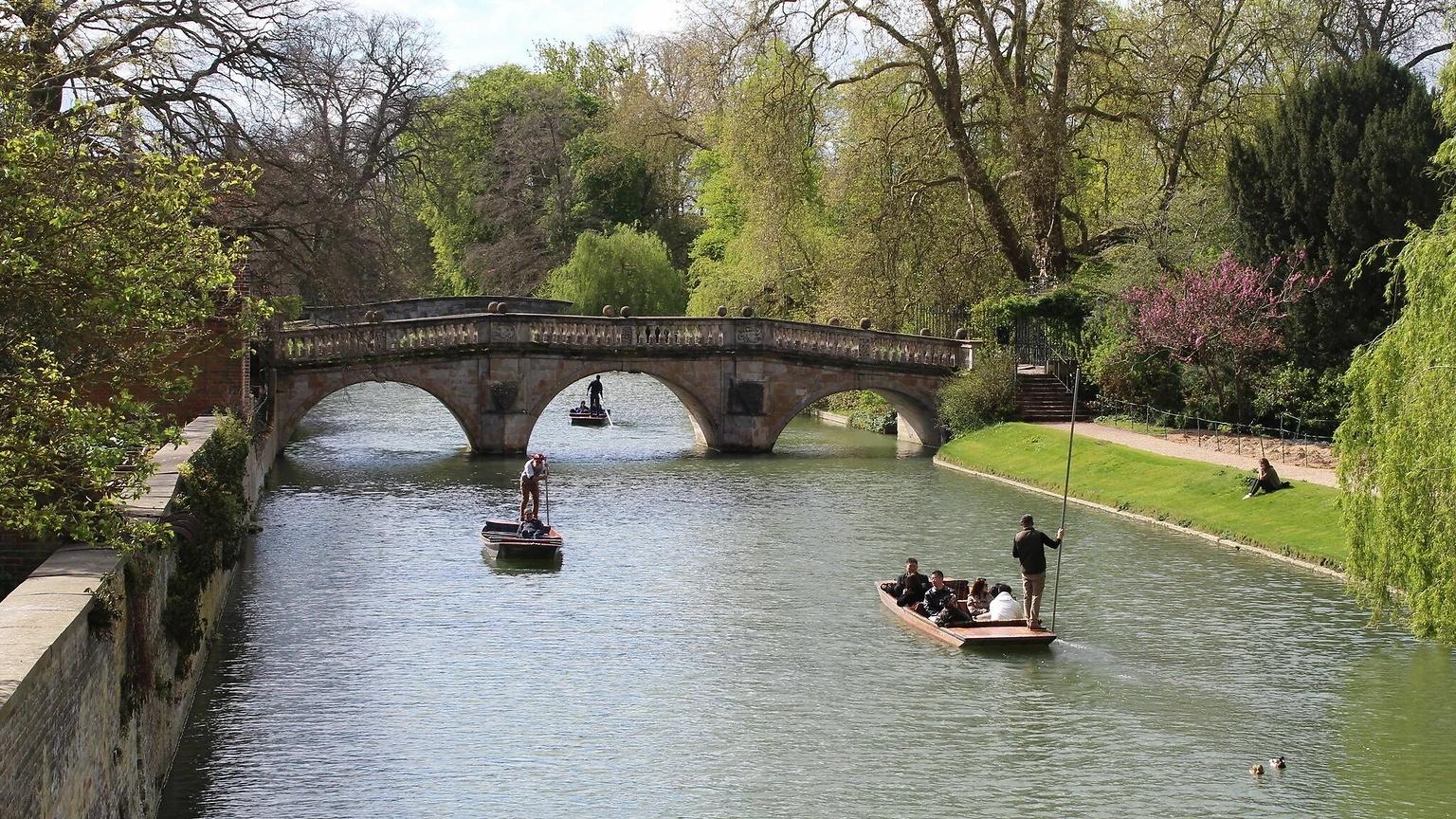 Punts on the Cam passing under a stone bridge on the Backs, willows and spring trees along the bank