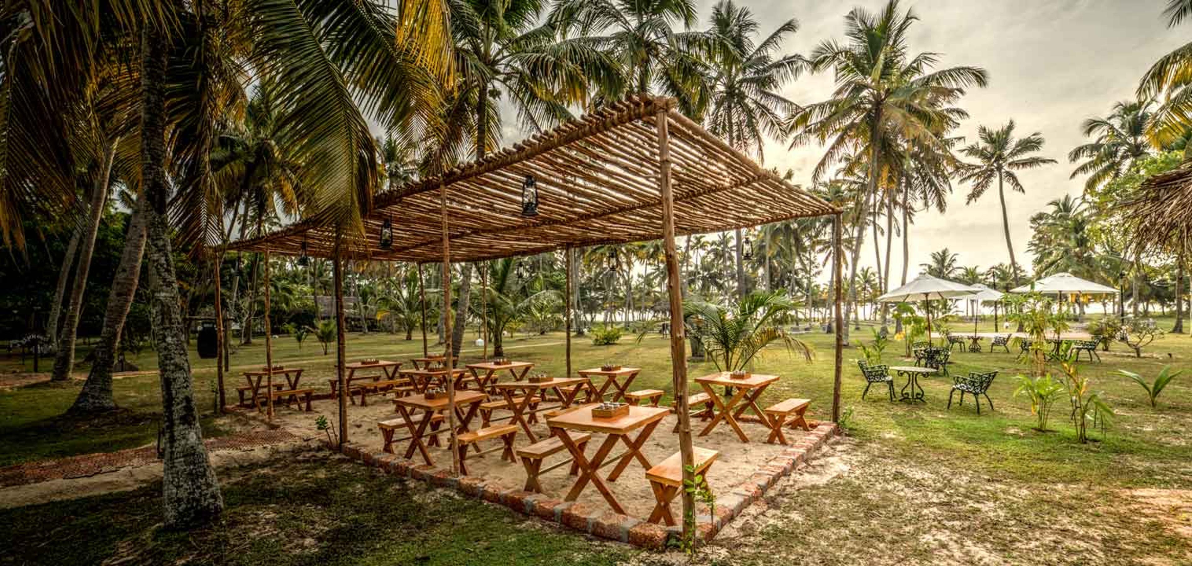Wooden tables and benches under a thatched pergola on a lawn, with beach umbrellas and palm trees beyond.