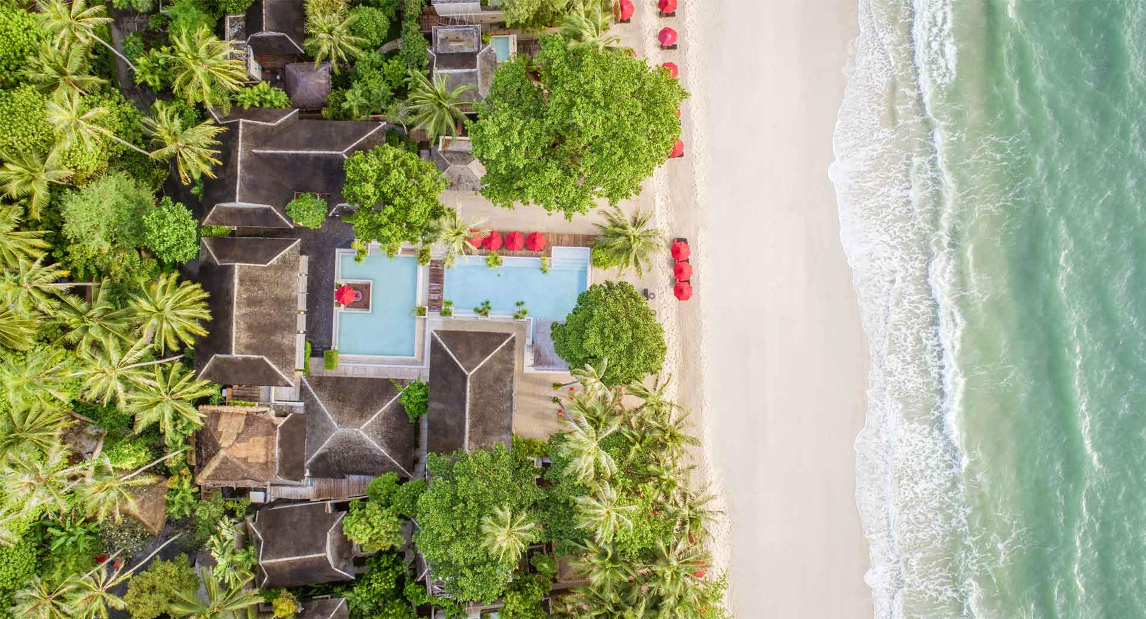 Thatched-roof buildings and a swimming pool seen directly from above, surrounded by palm trees next to a white sand beach.