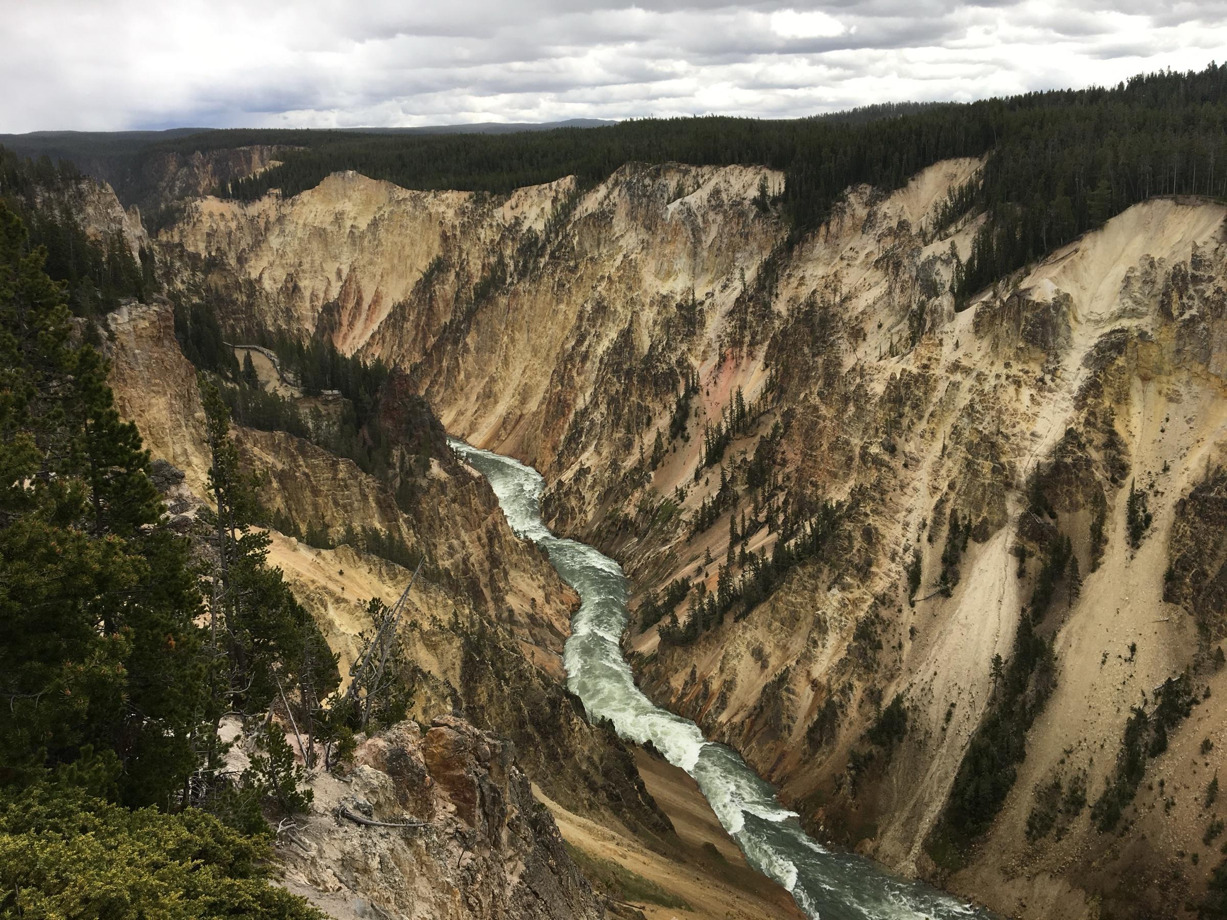The Grand Canyon of the Yellowstone, steep walls of yellow and cream rock with a green river far below