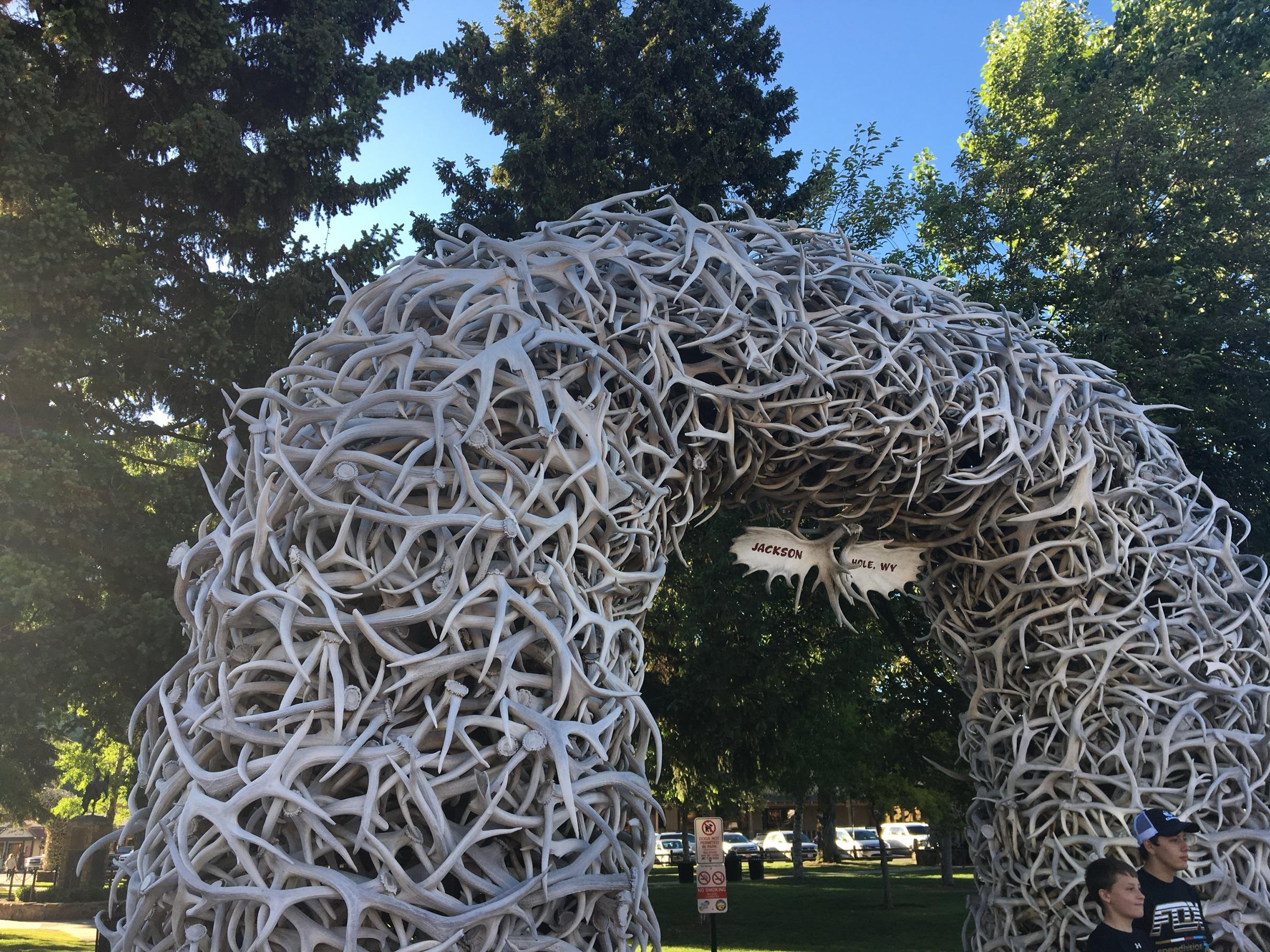 An arch built from hundreds of interlocking antlers, in a leafy town square