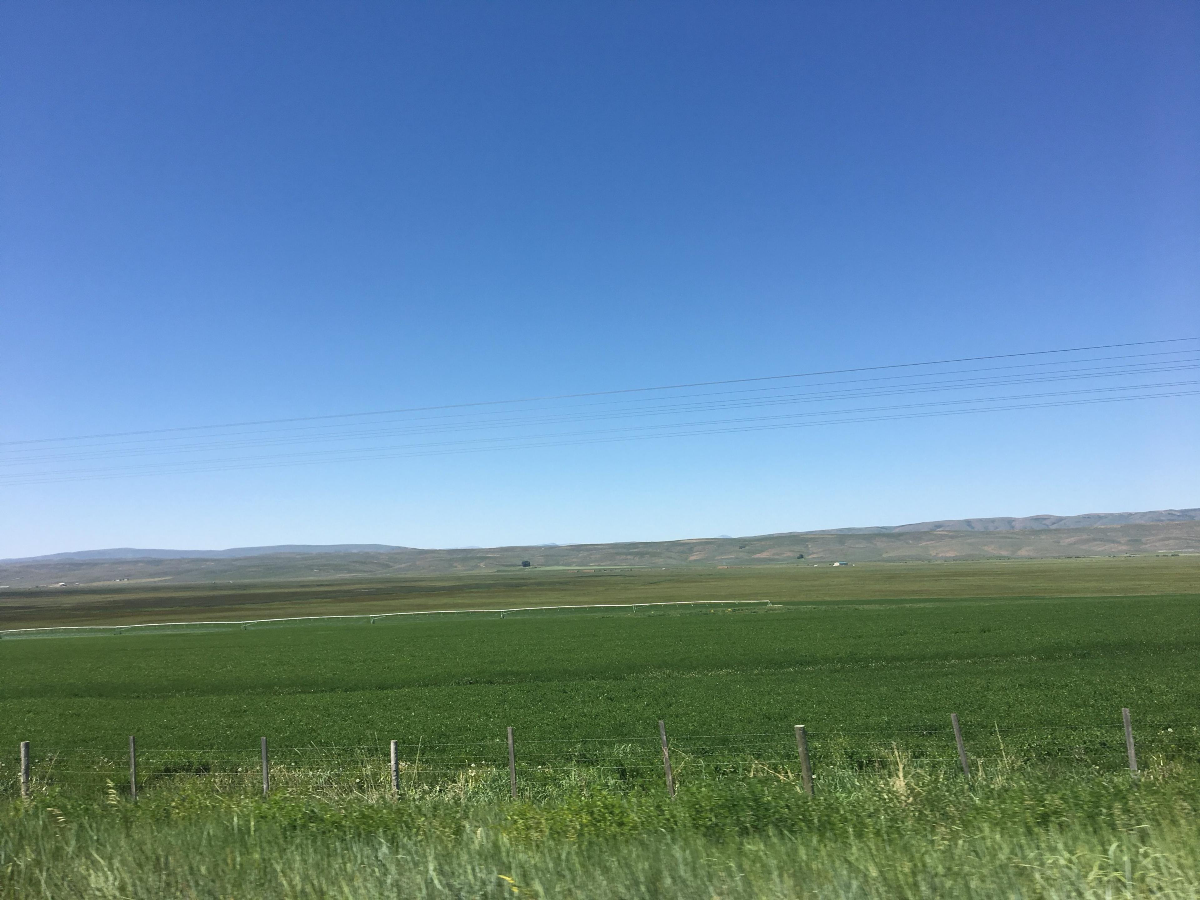 Flat green fields running to low hills under an enormous blue sky