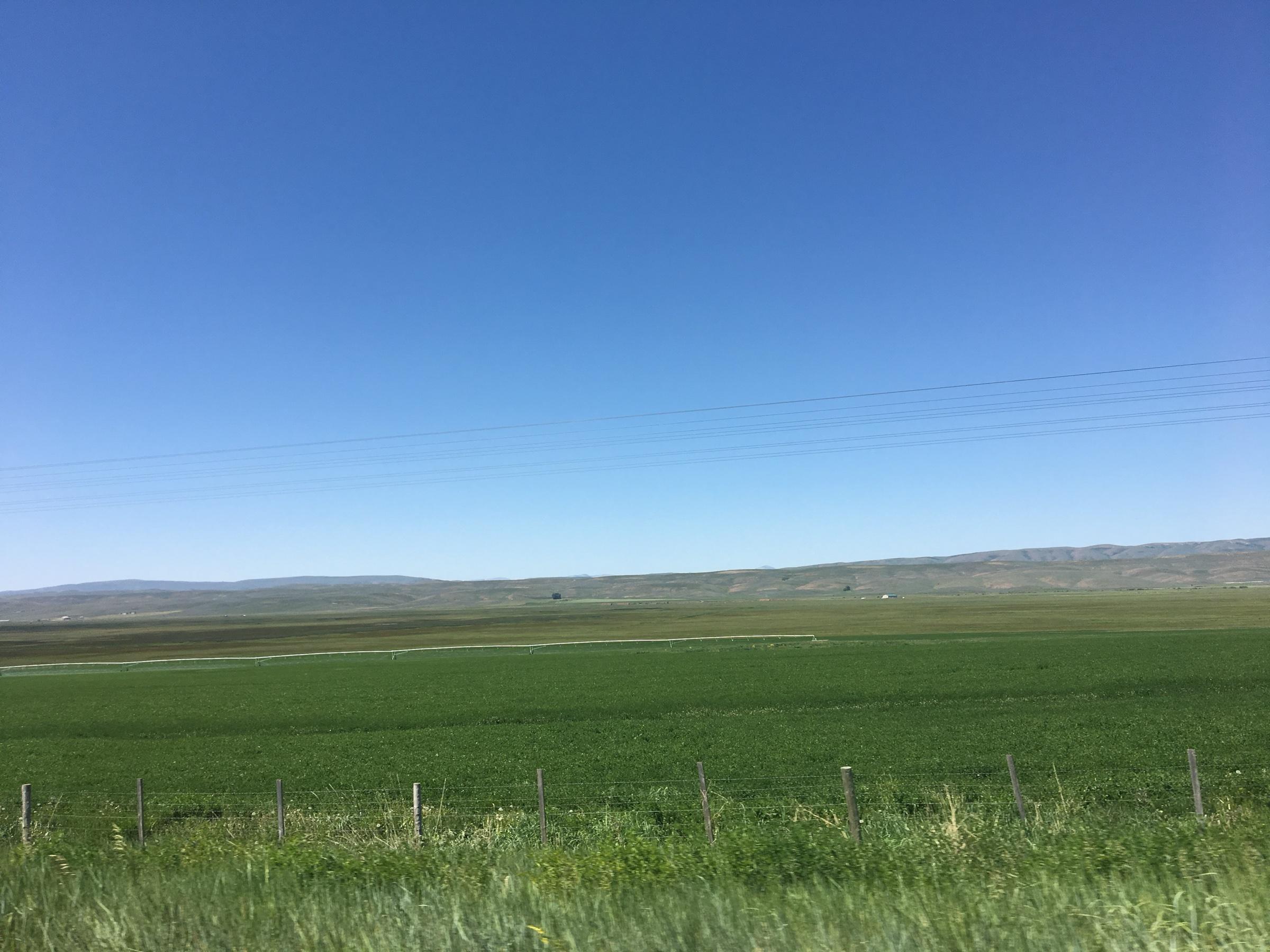 Flat green fields running to low hills under an enormous blue sky