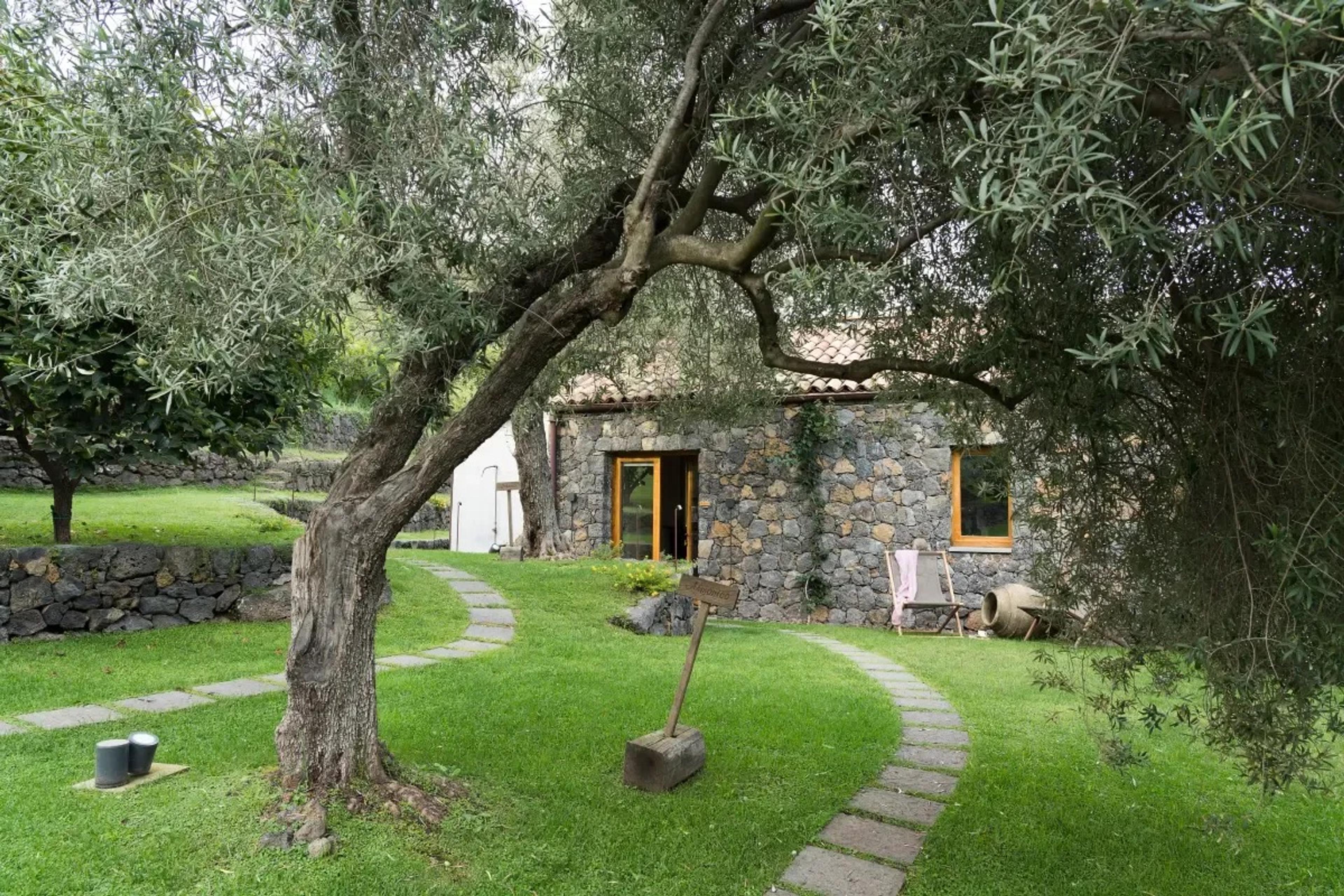 A gravel path under an olive tree leading to a stone cottage with an open door and a deck chair outside.