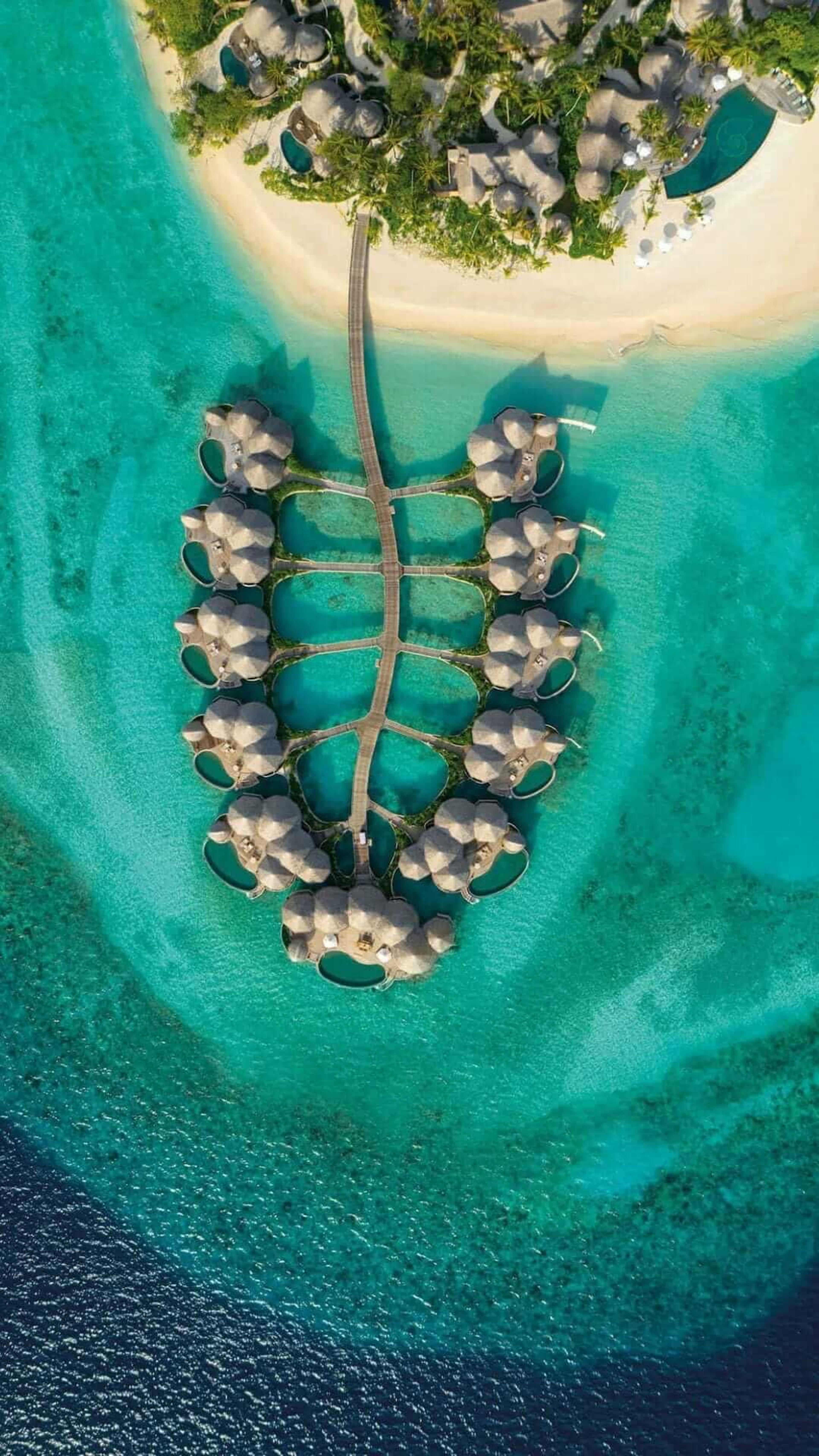 A top-down aerial view of a leaf-shaped cluster of overwater villas connected by boardwalks, set in a turquoise lagoon beside a palm-covered island.