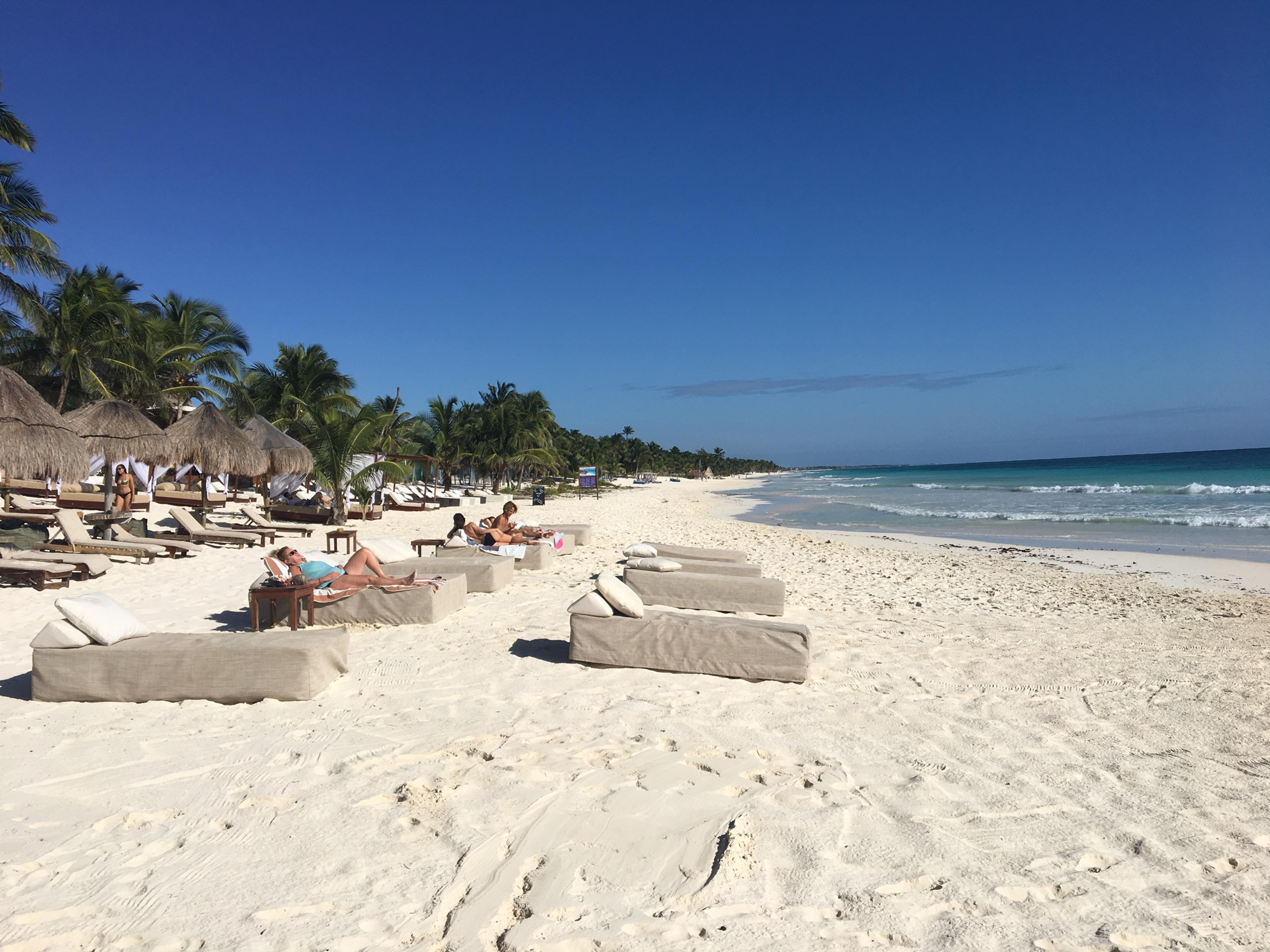Daybeds and palapa umbrellas on the white sand of Tulum beach under a clear blue sky, palms along the shore and the Caribbean turquoise beyond